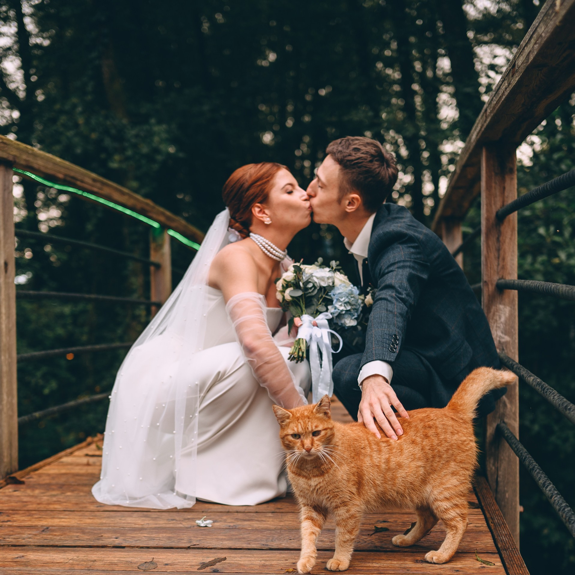 Глэмпинг Енот