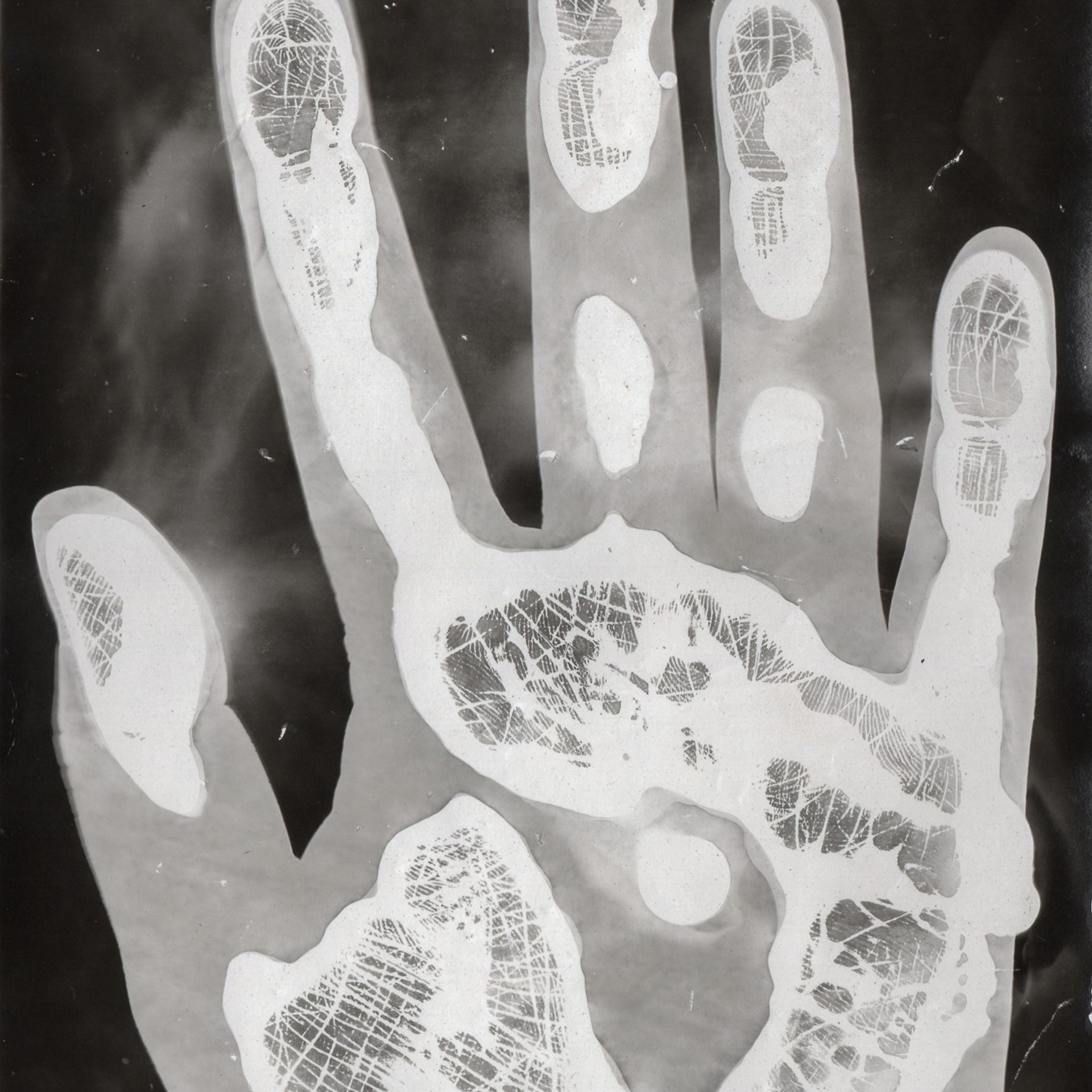 Фотограмма. Юлия Леонова — фотограф, визуальный художник Минск