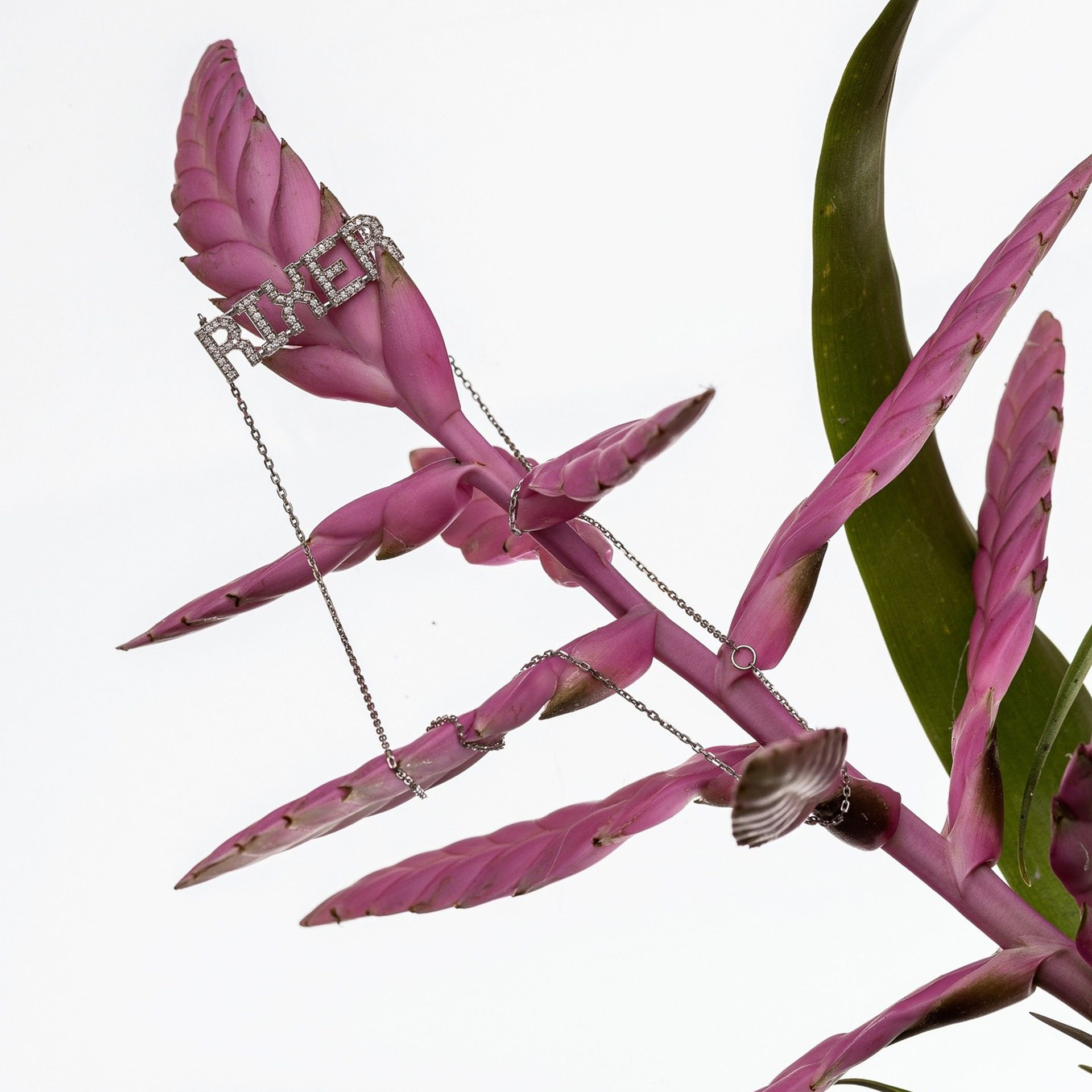 Украшение Rixer