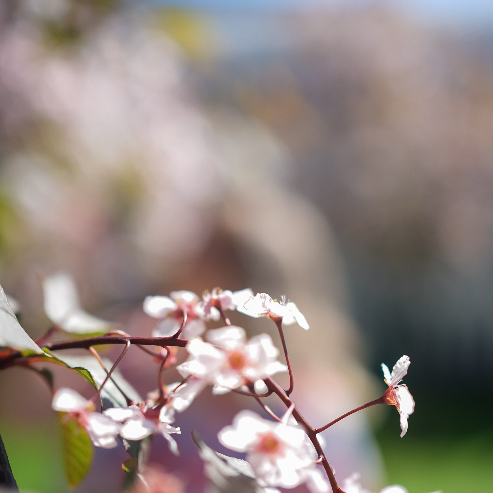 Отзывы. ФотоЭкскурсии в Москве|Экскурсии в Москве с фотографом