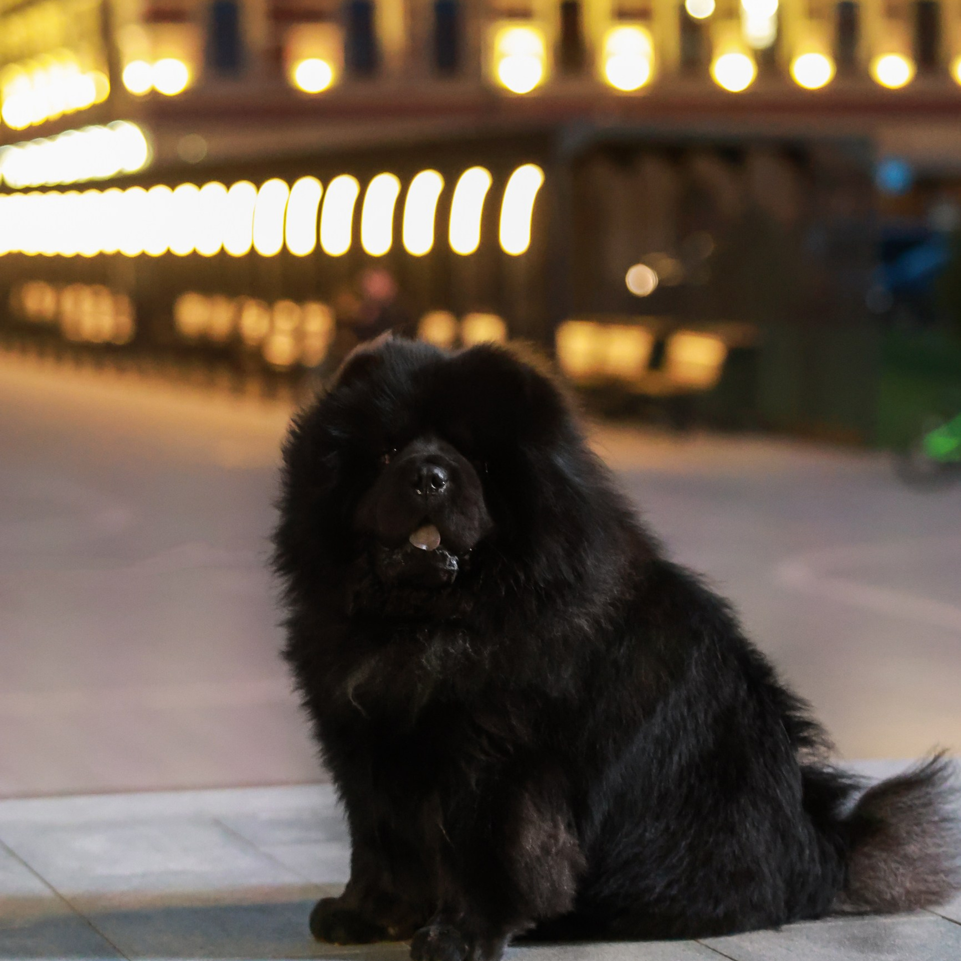 Отзывы. Семейный и детский фотограф в Москве Мария Быкова