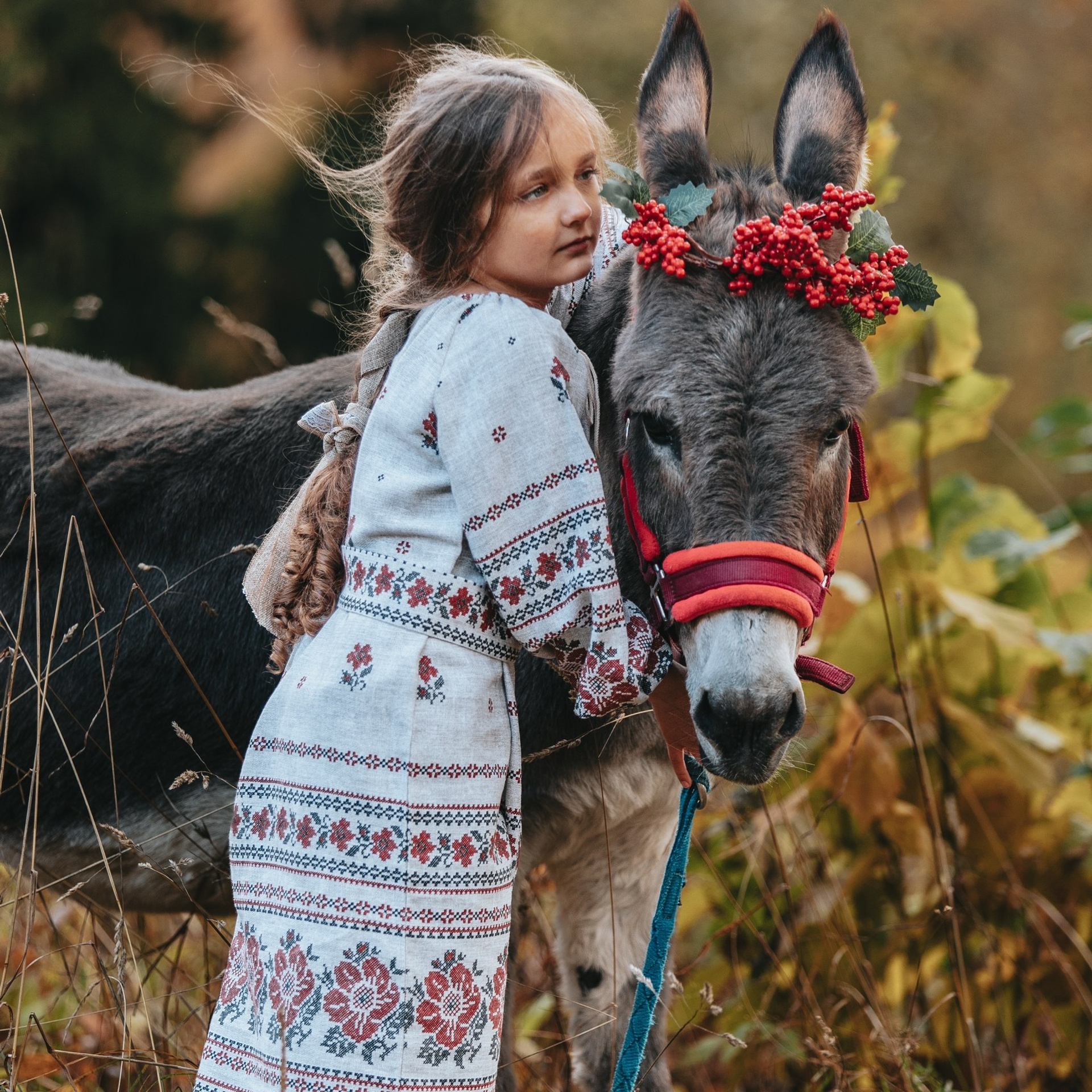 Фотодень в&nbsp;КСК «Радена»