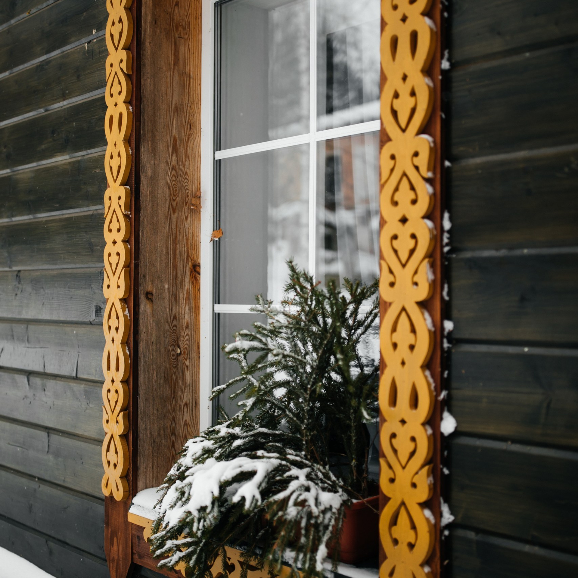 Организатор загородного отдыха в Переславле Валерия