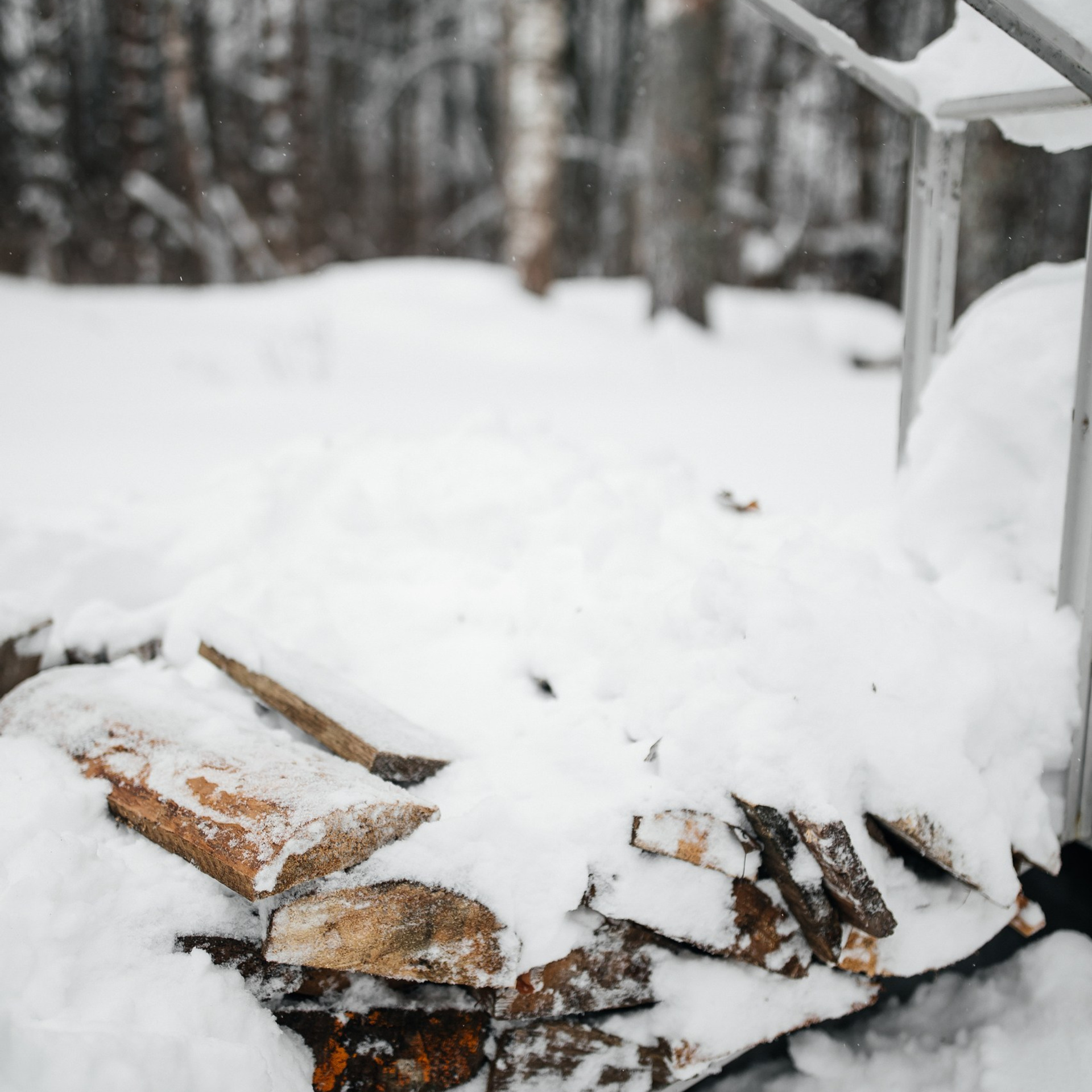 Организатор загородного отдыха в Переславле Валерия