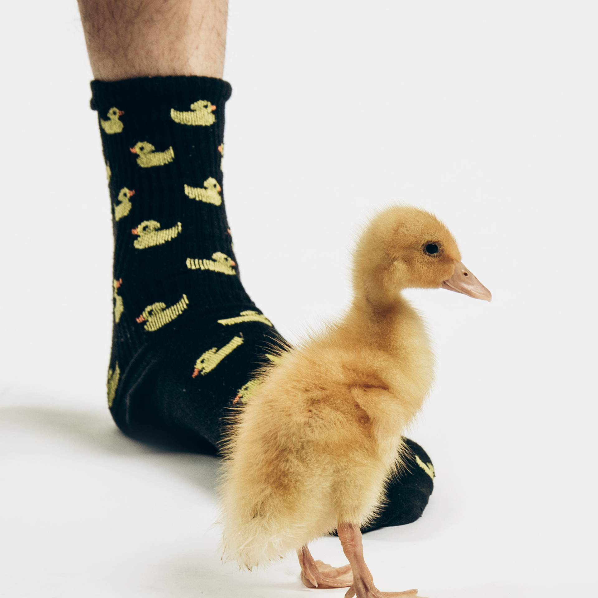 Отзывы. Фотограф Катерина Иванова