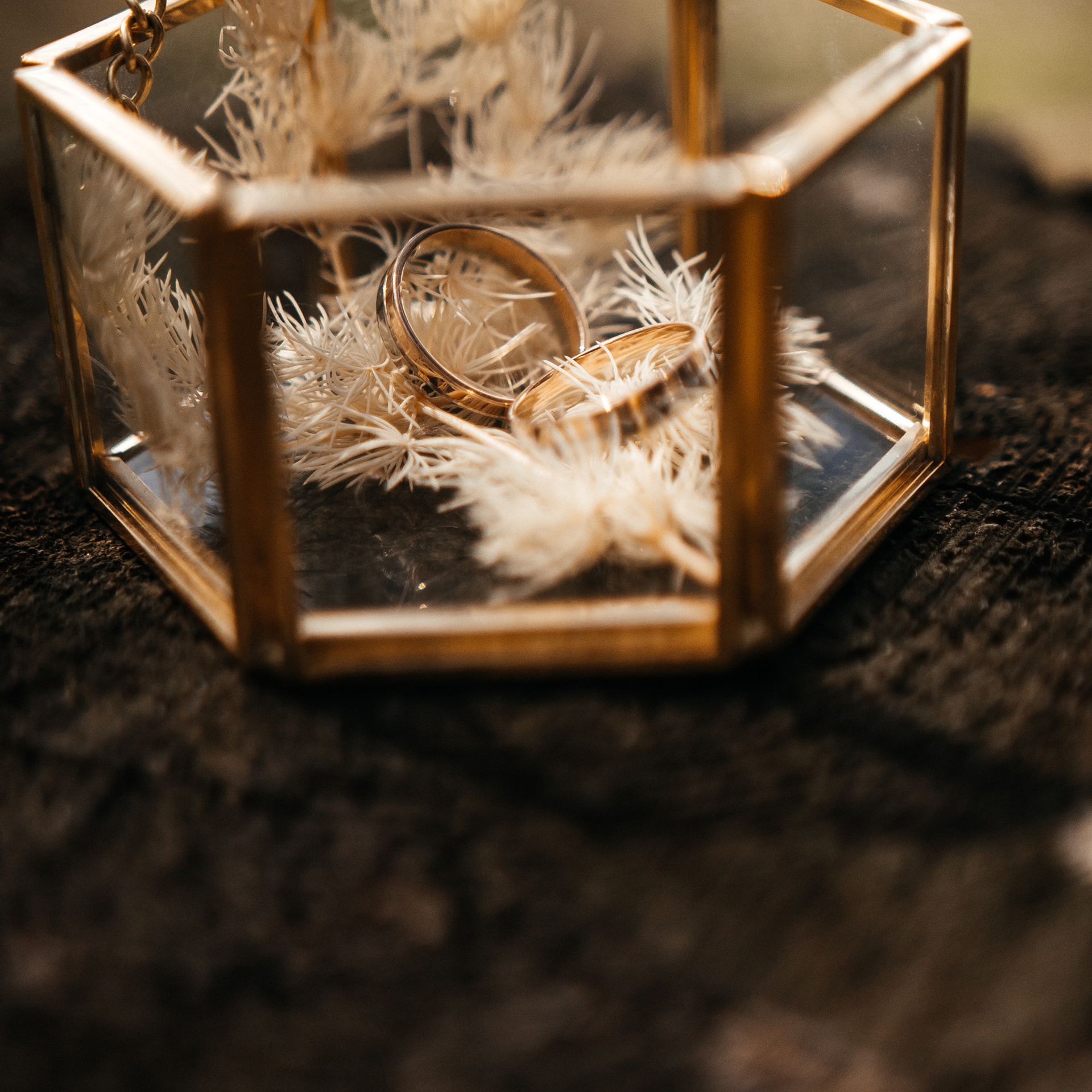 Feedback. Фотограф Максим Мельников