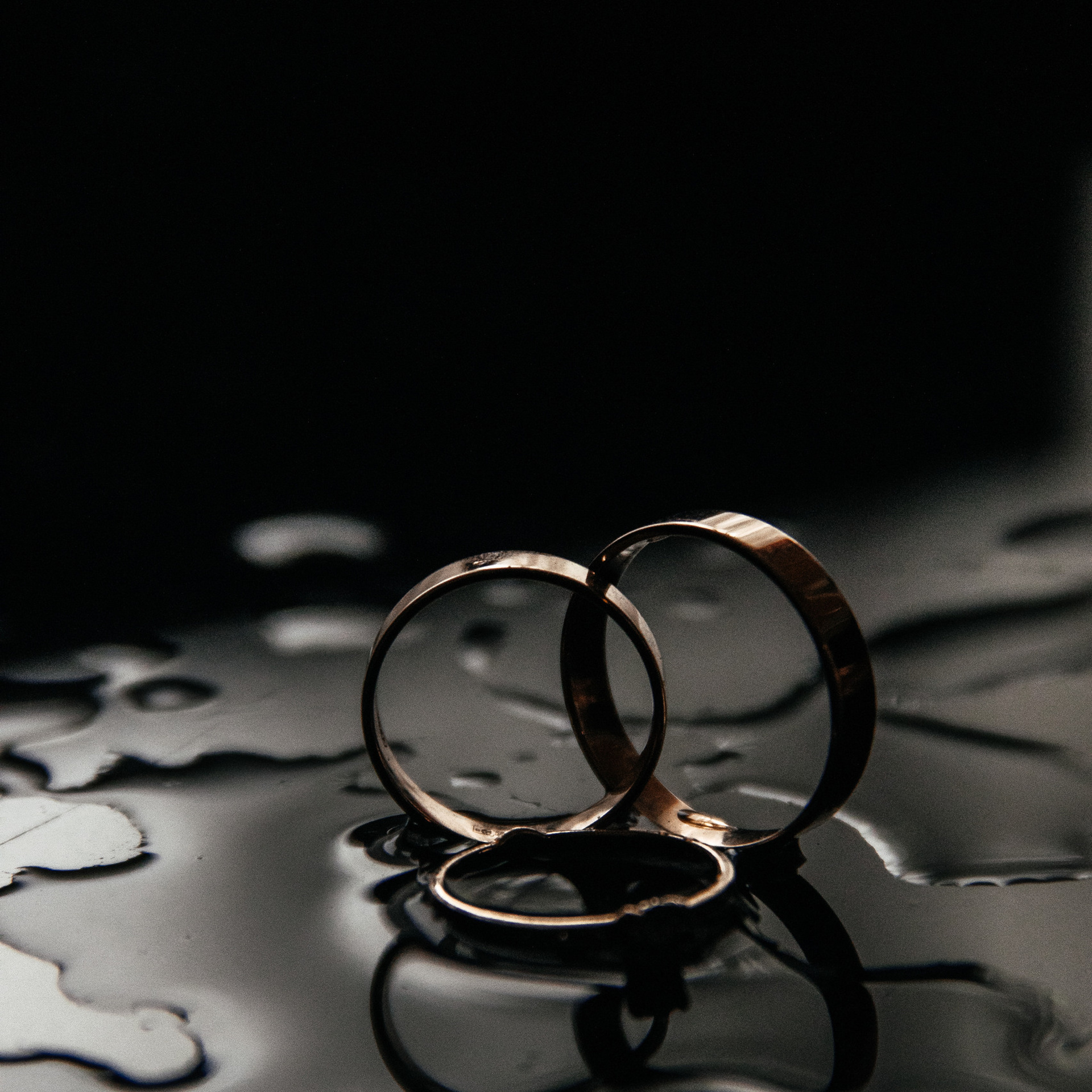 Feedback. Фотограф Максим Мельников