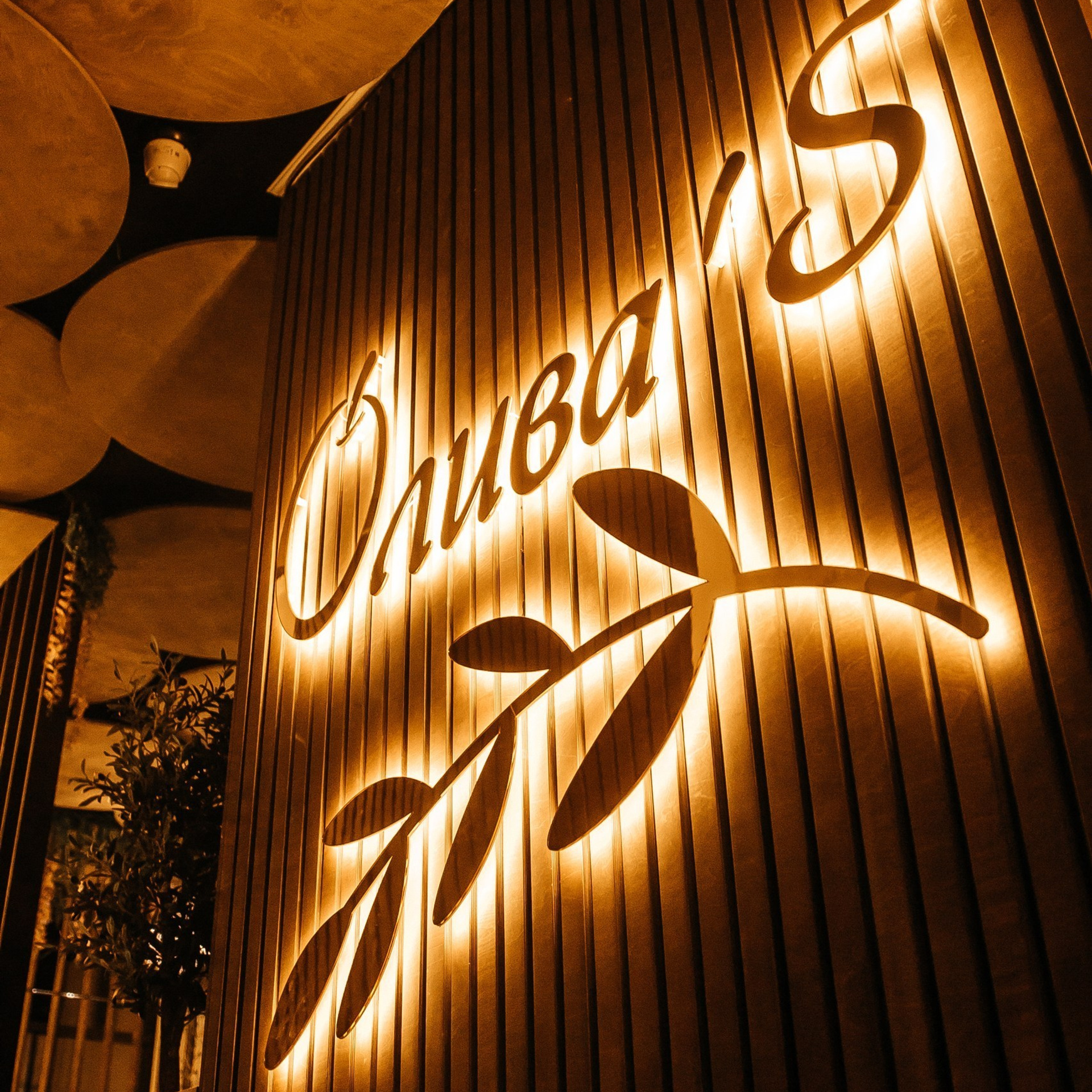 Feedback. Фотограф Максим Мельников