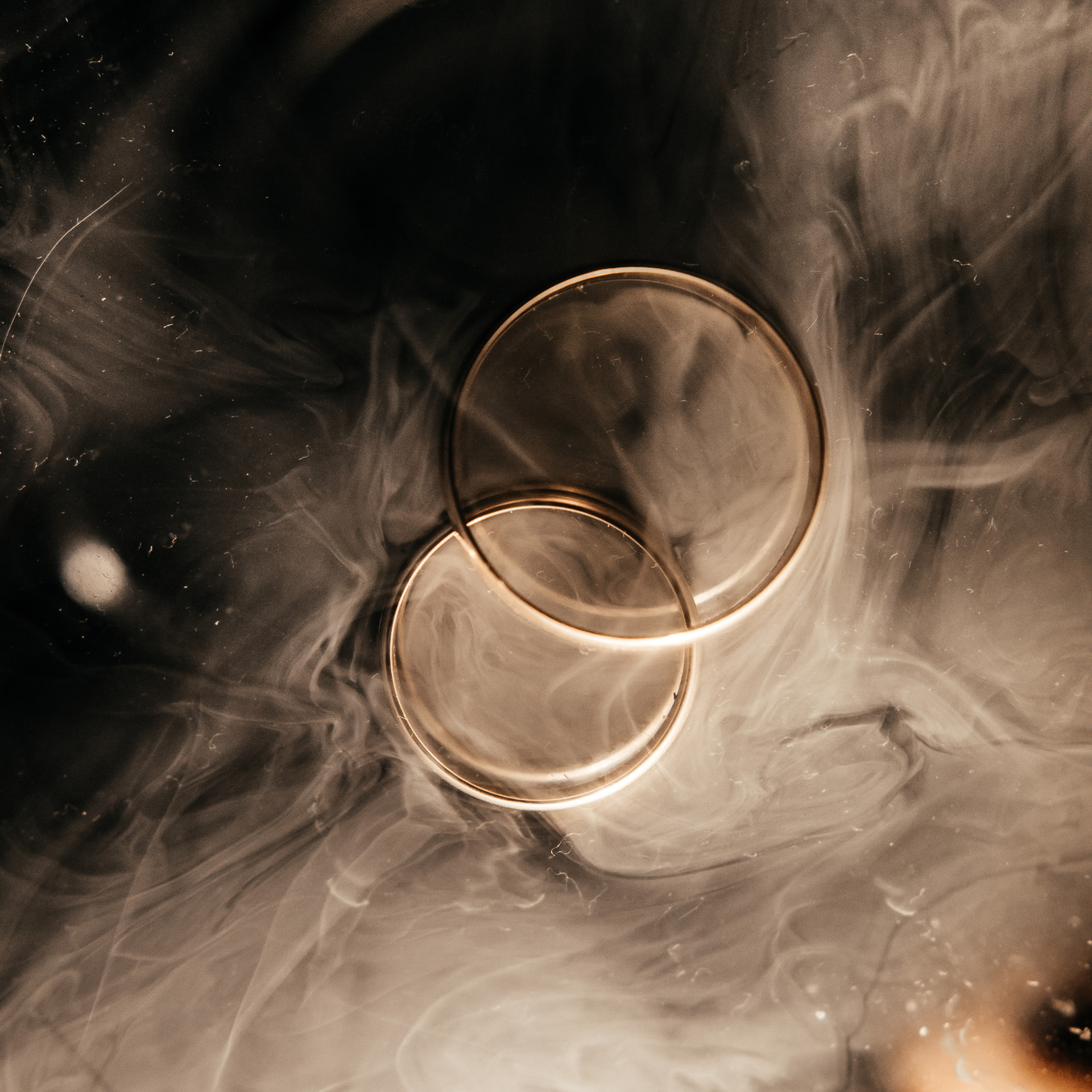 Feedback. Фотограф Максим Мельников