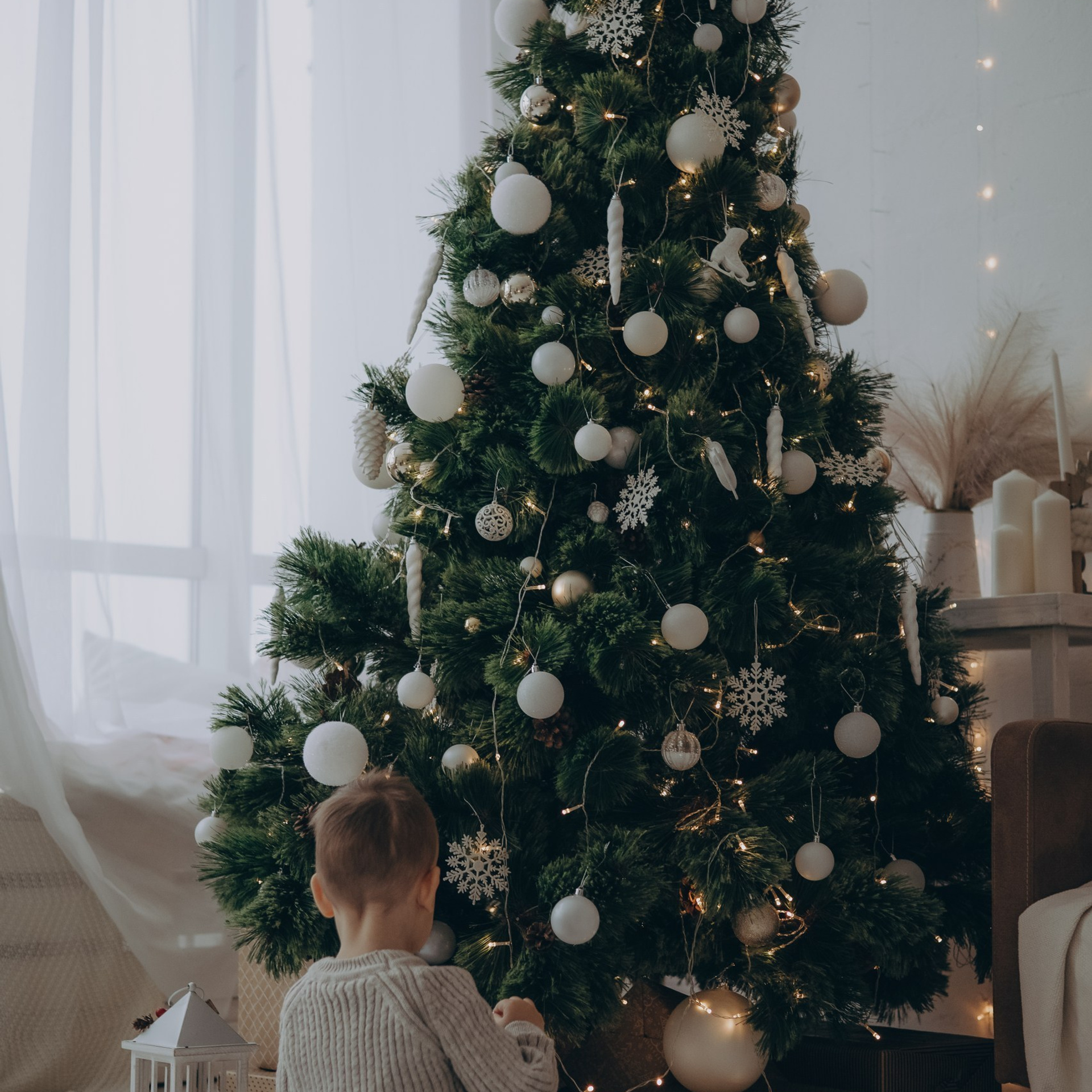 Отзывы. Семейный фотограф в Сочи Любовь Переседова