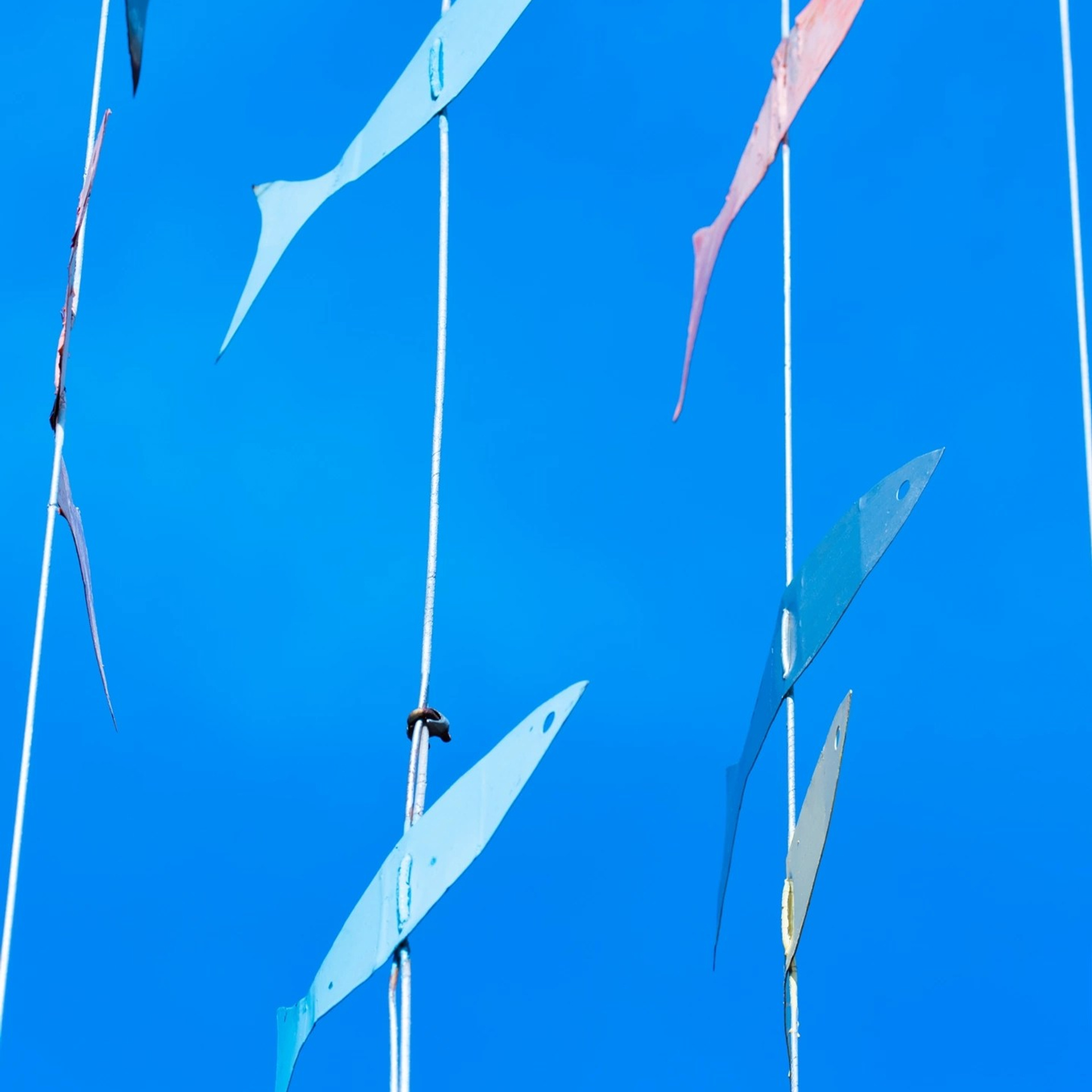 Отзывы. Профессиональный фотограф Павел Кирюткин