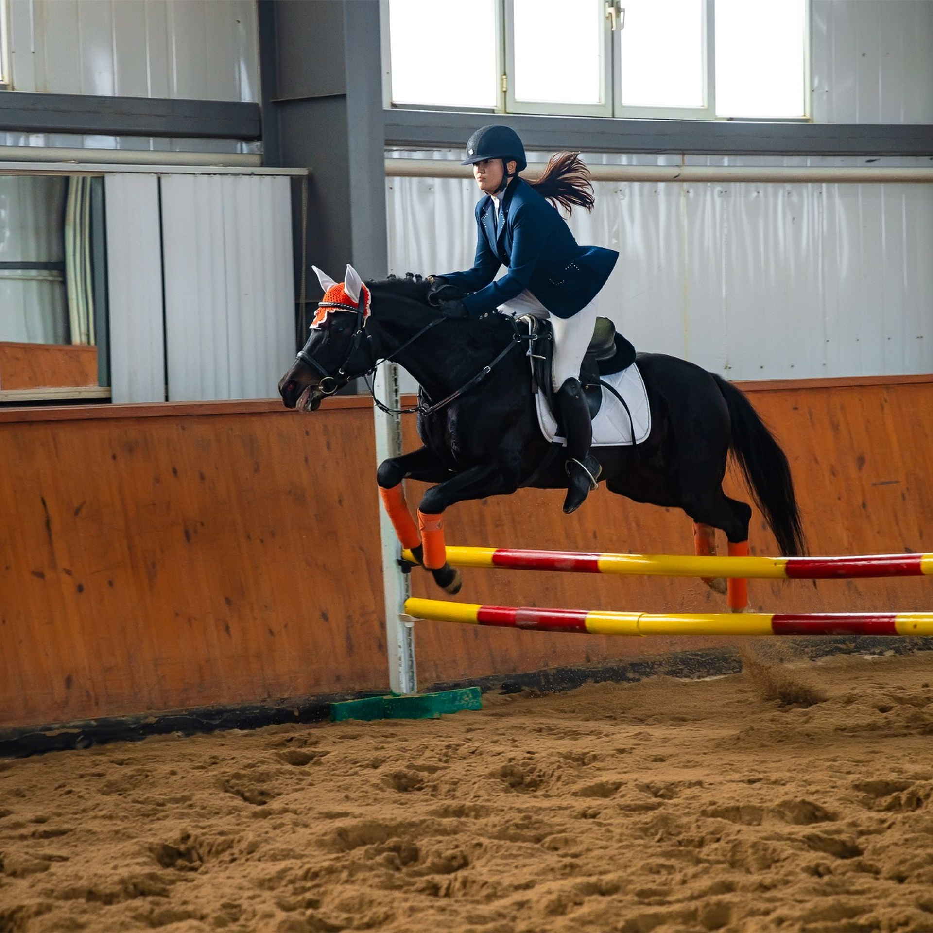 Конный Спорт