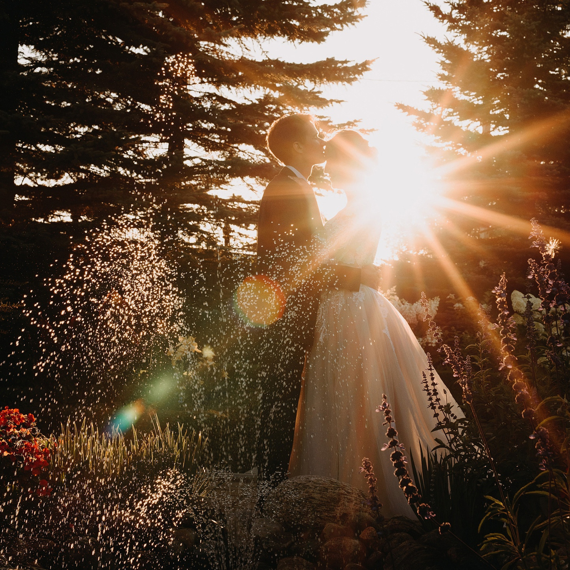 Анастасия+Никита