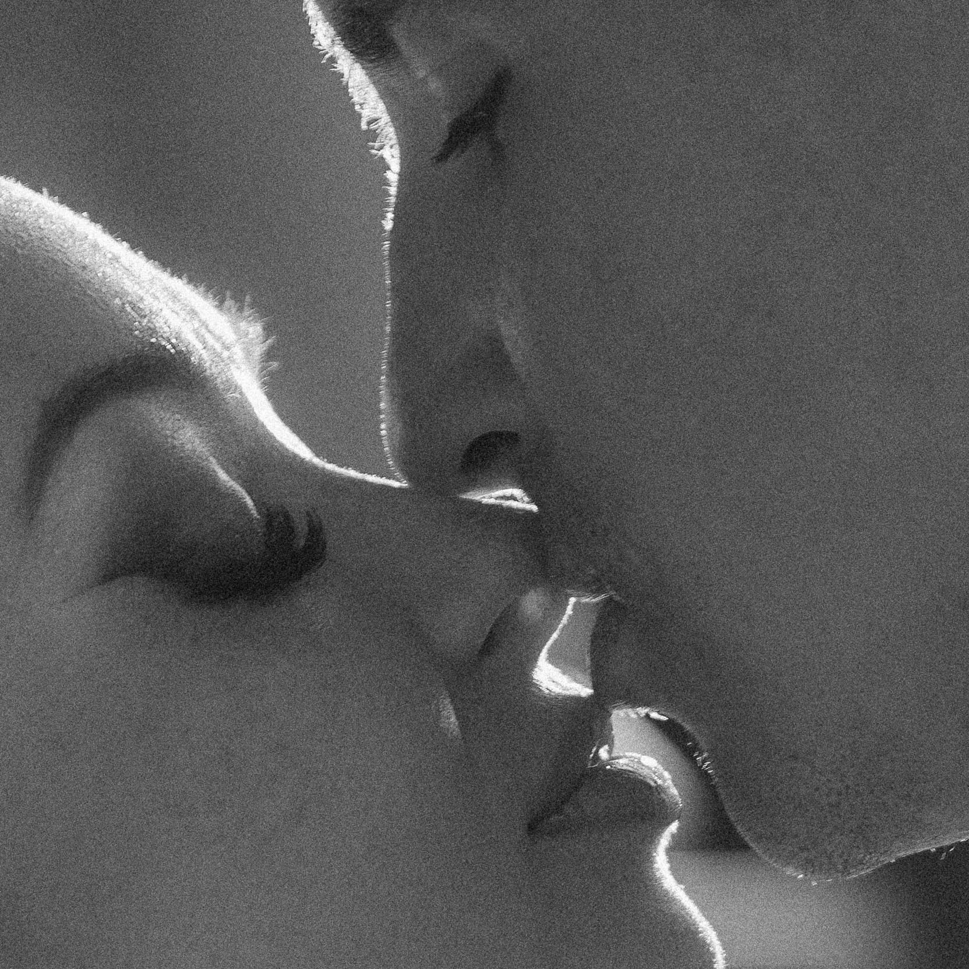 Свадебный фотограф Мироманов Николай в Крыму