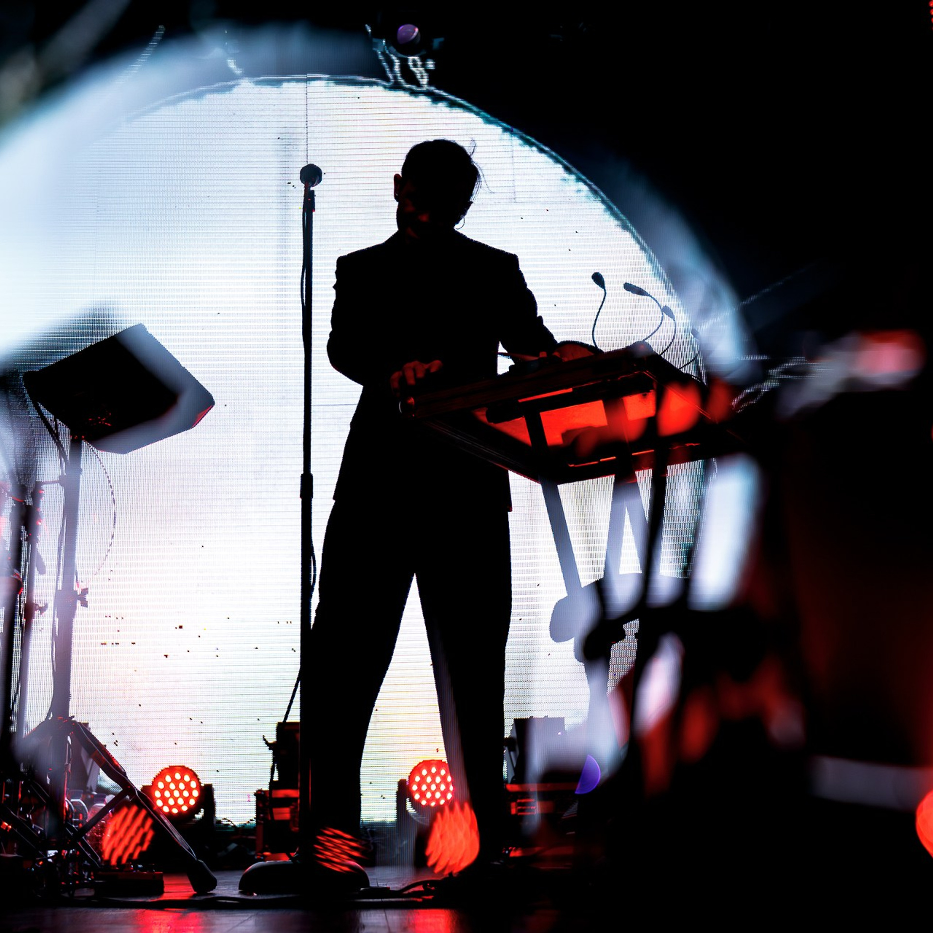 Дельфин, 05.06.25, VK Gipsy