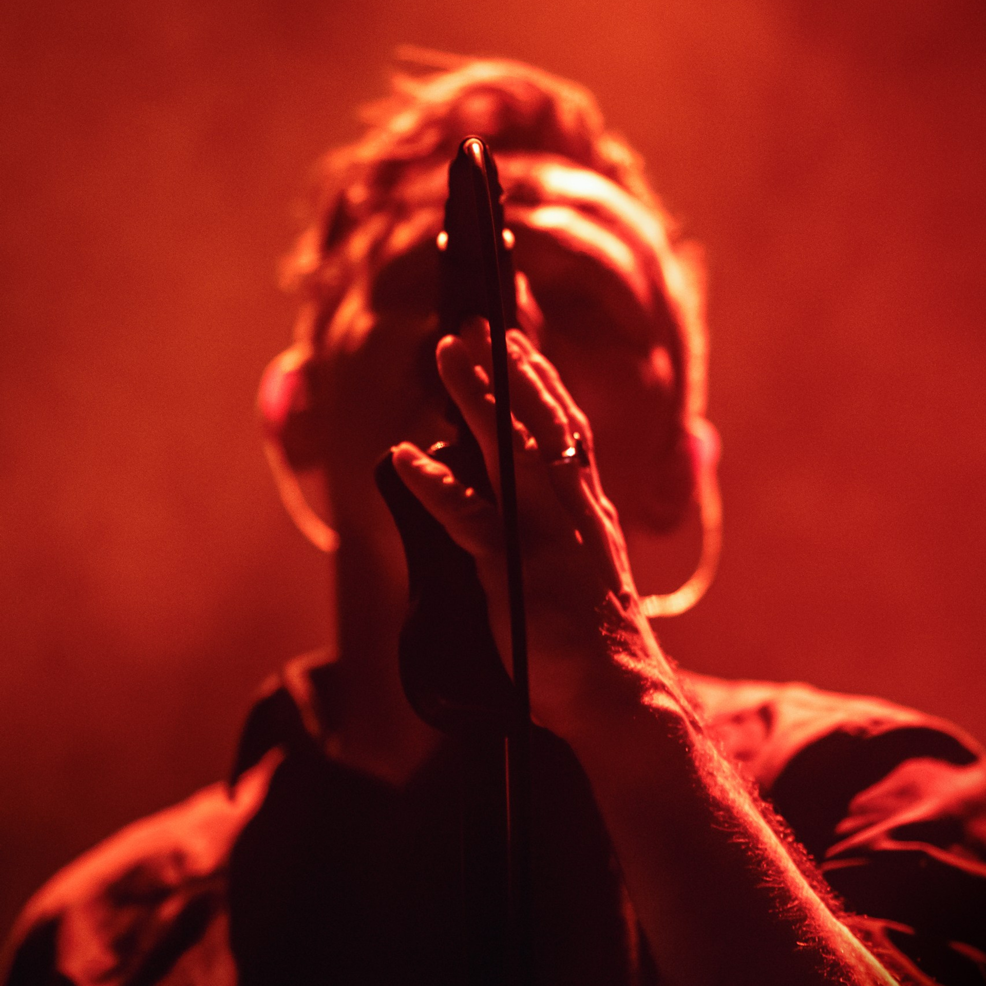 Дельфин, 01.12.24, Atmosphere