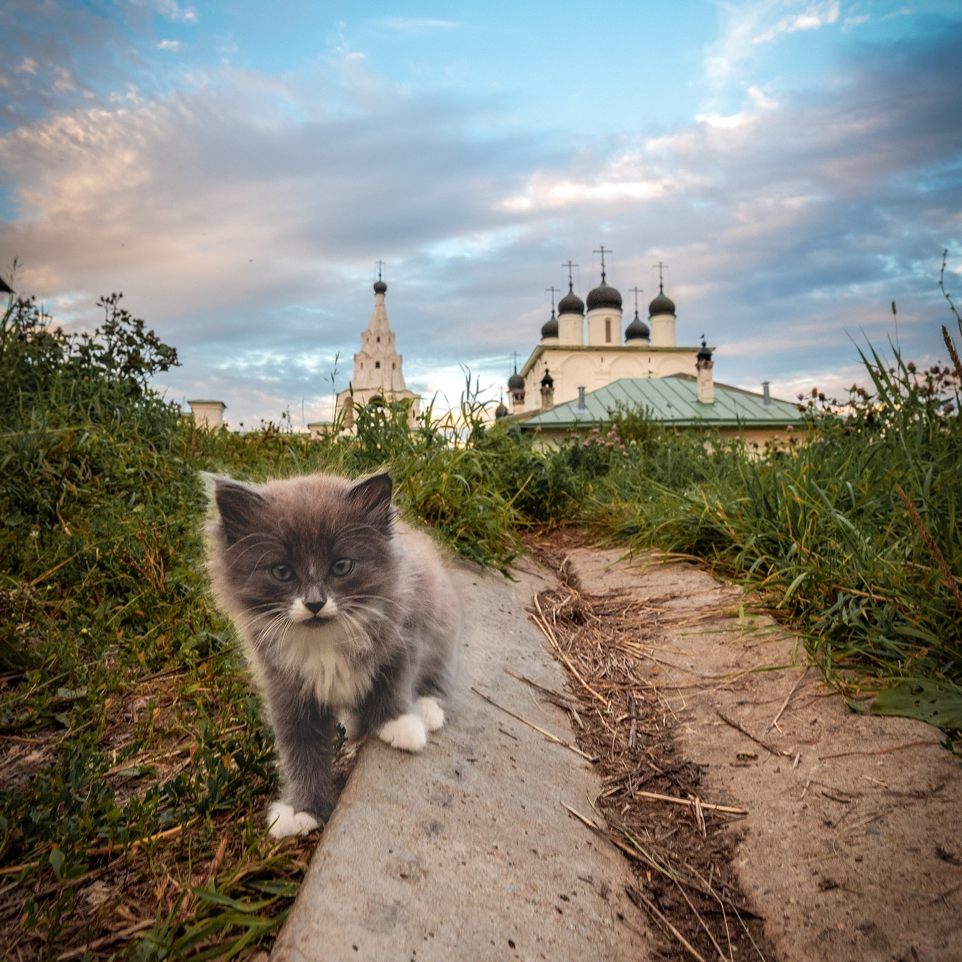 Маленький мир. Фотограф Артём Парамонов