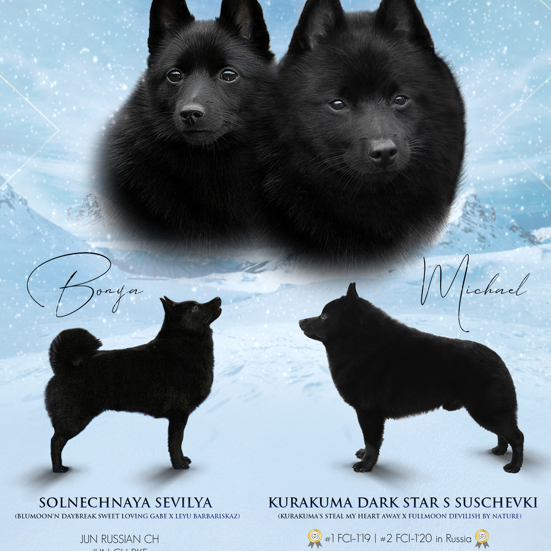 Отзывы. Фотограф — анималист в Санкт — Петербурге Анна Орис