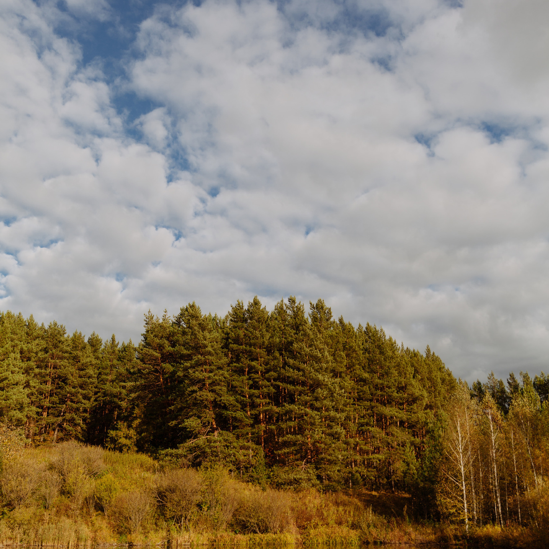 Отзывы. Фотограф Москва Кашпирова Карина