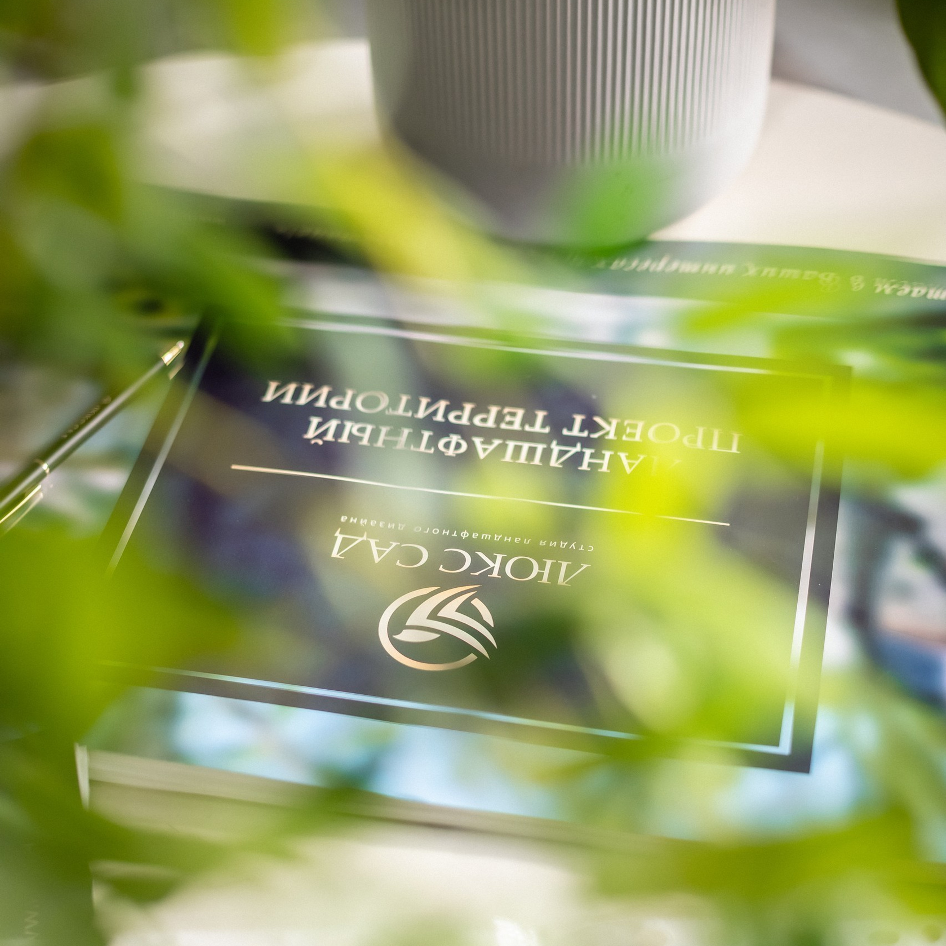 Отзывы. Фотограф в Москве Базанова Дарья