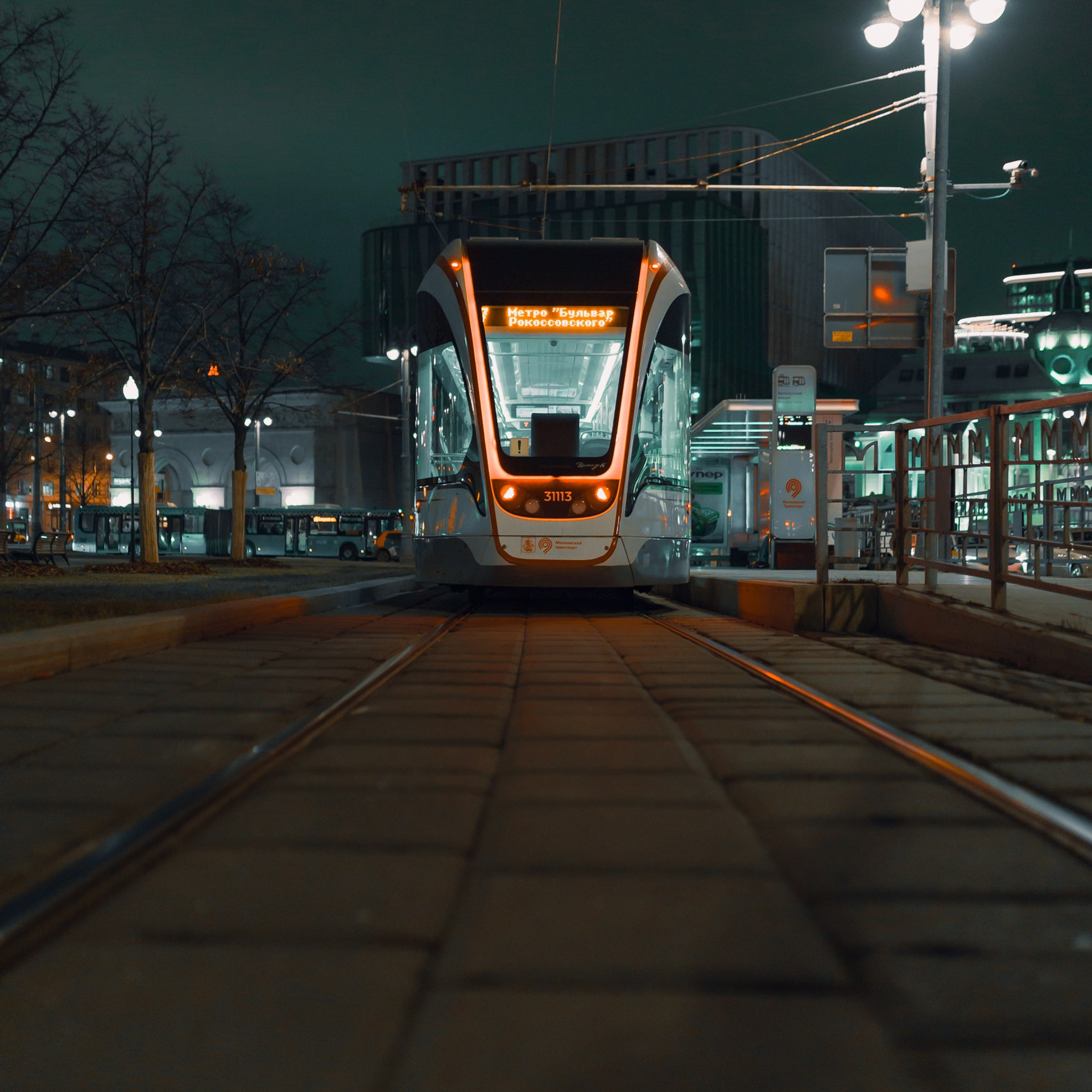 Прогулка, Москва, 11.2024. Фотограф Денис Болдинов. Москва