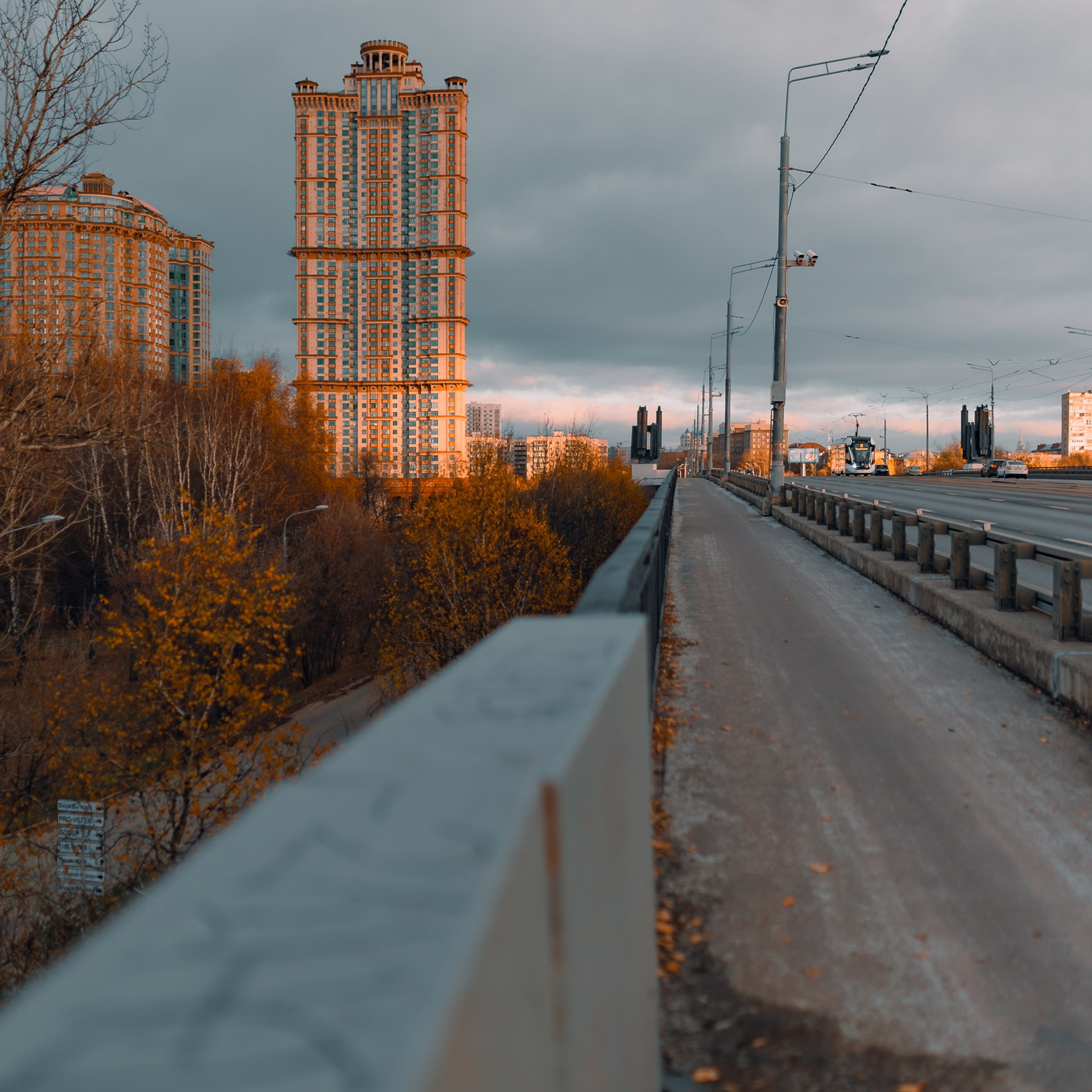 Прогулка, Москва, 11.2024. Фотограф Денис Болдинов. Москва