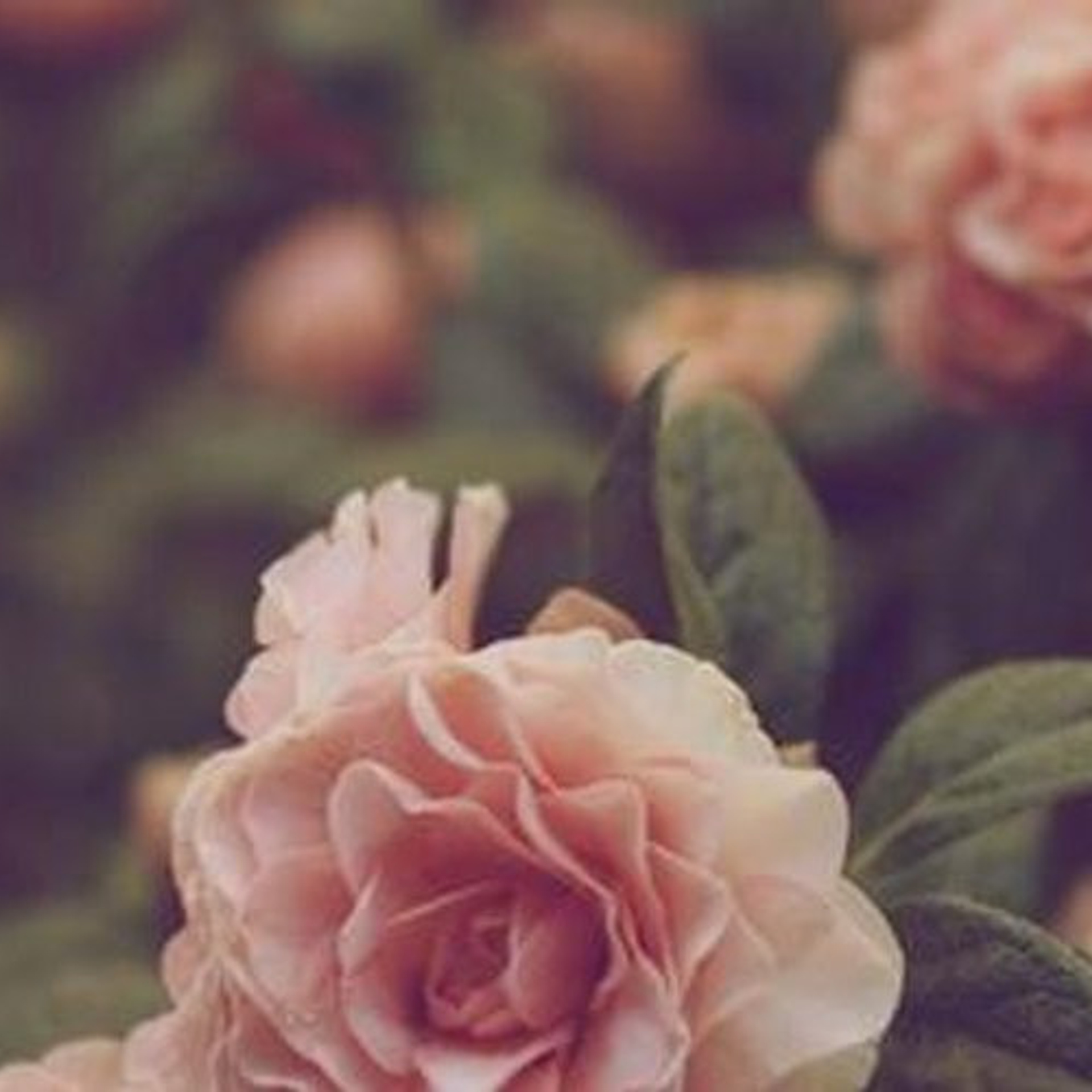 Бугуруслан фотограф. Семейный и детский фотограф Алексеева Вера Бугуруслан, Самара