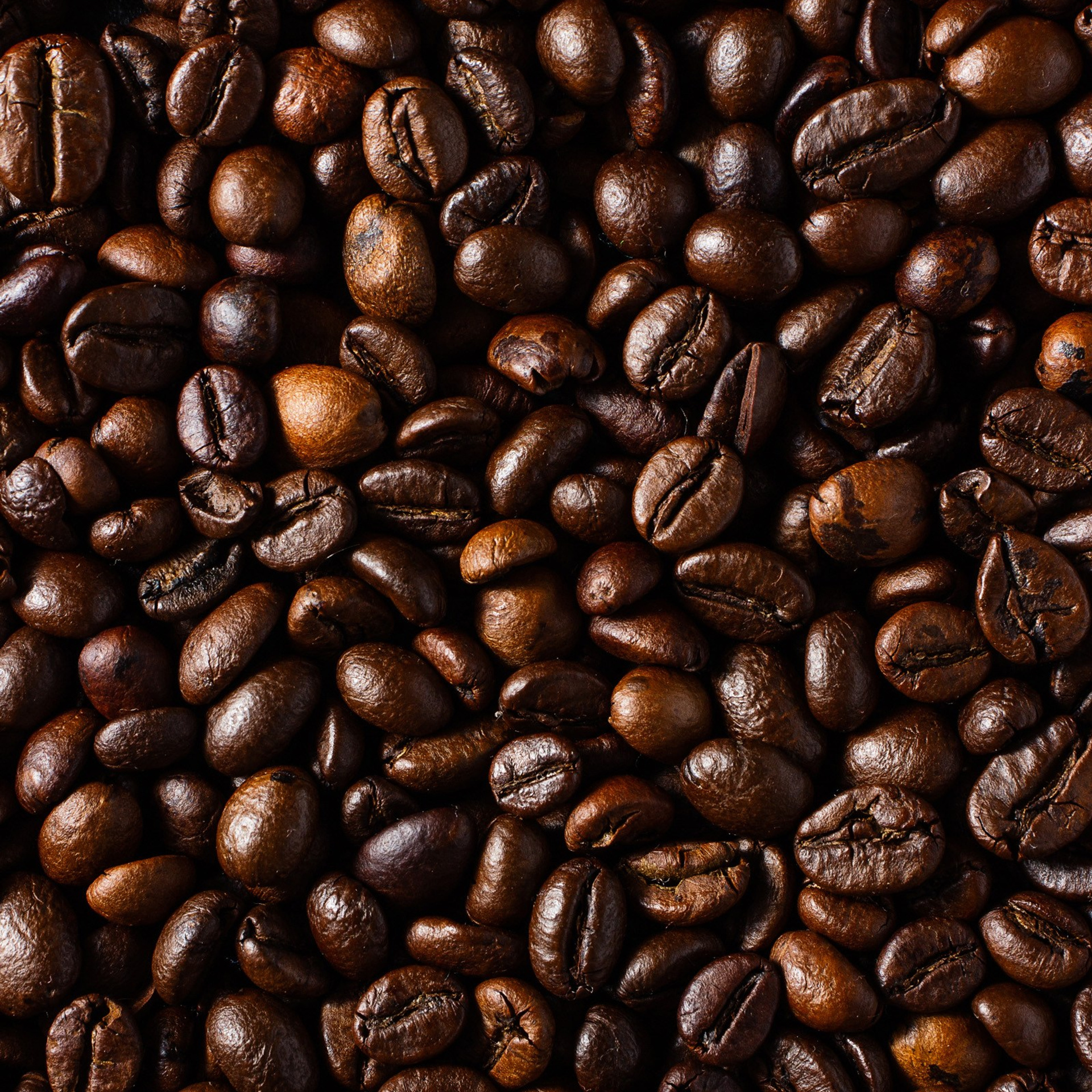 ИНГРЕДИЕНТЫ