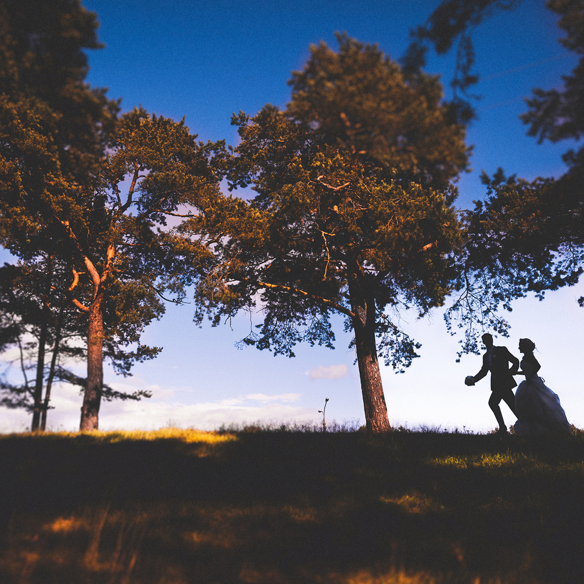 Ульяна и Алексей-2014