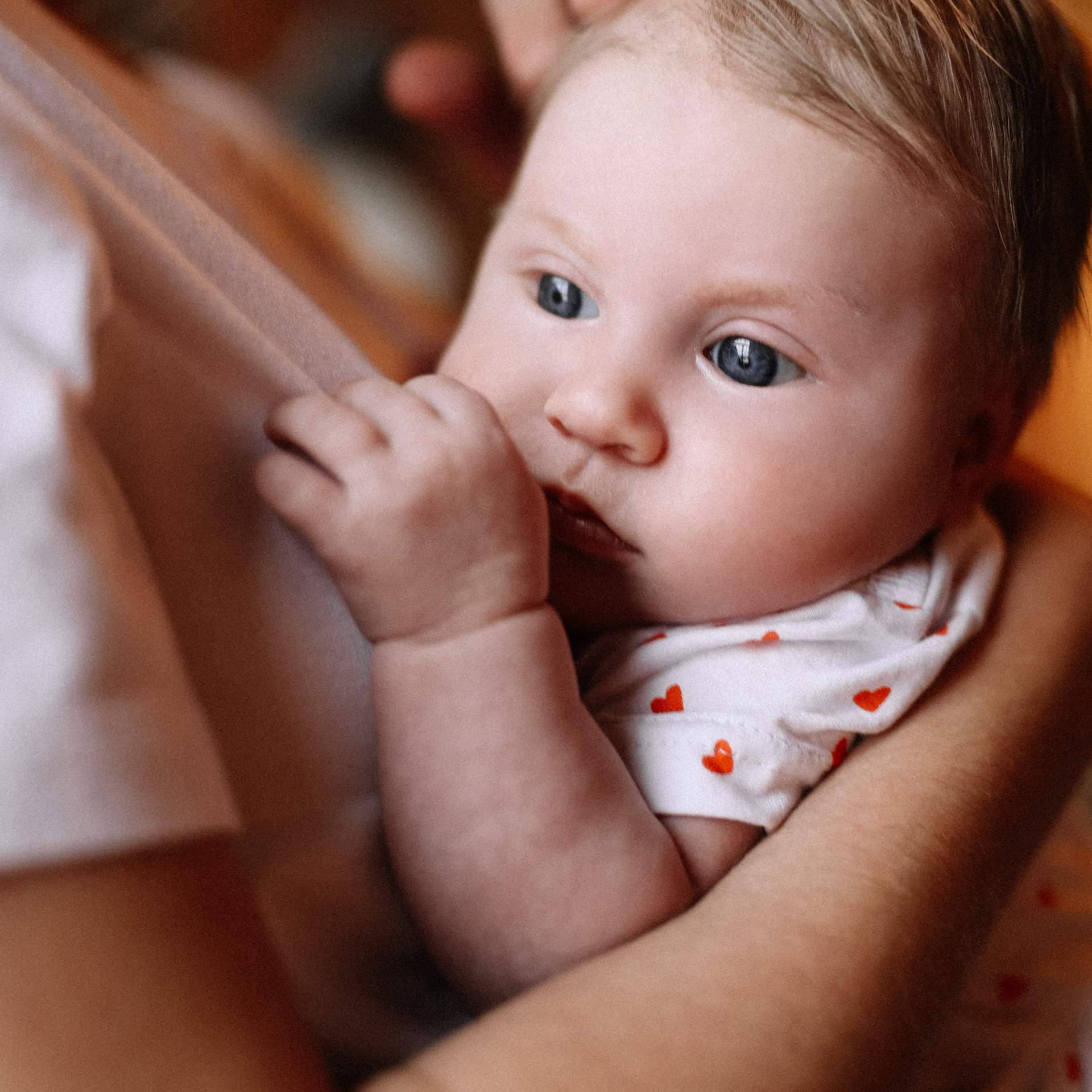 Отзывы клиентов. Свадебный и семейный Фотограф Денис Кошель
