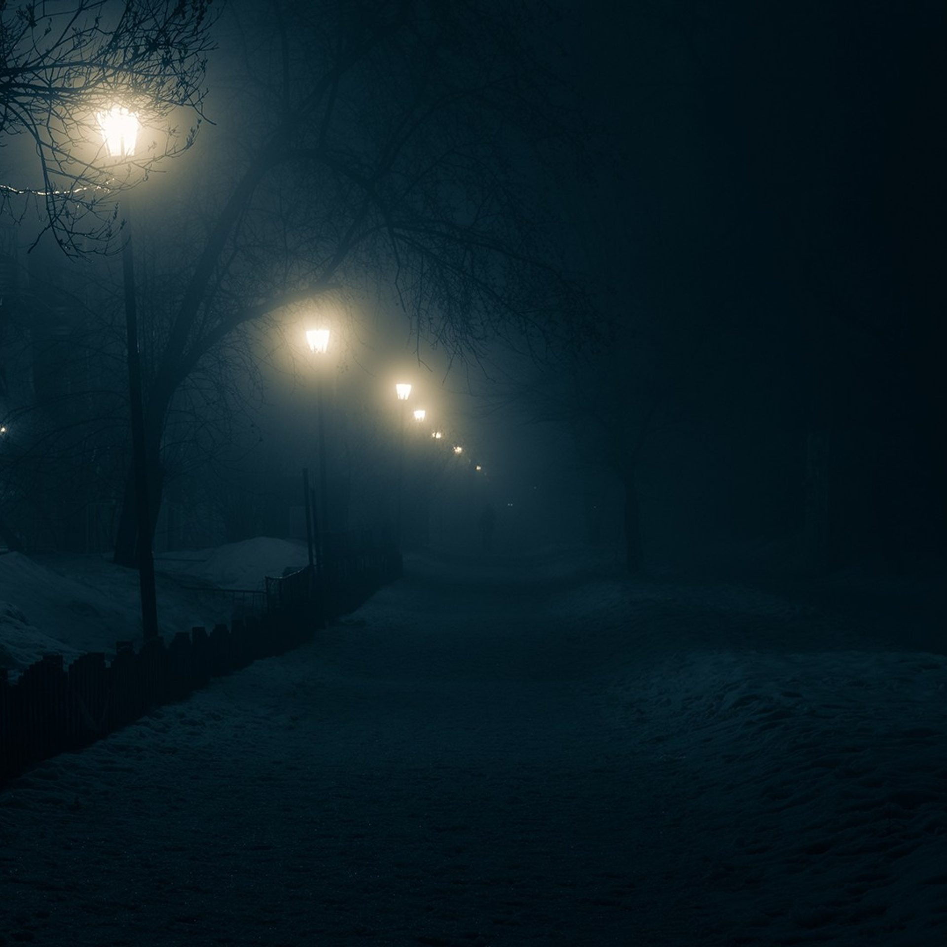 Ночная съемка. Видеооператор приключений × Сергей Скрынник