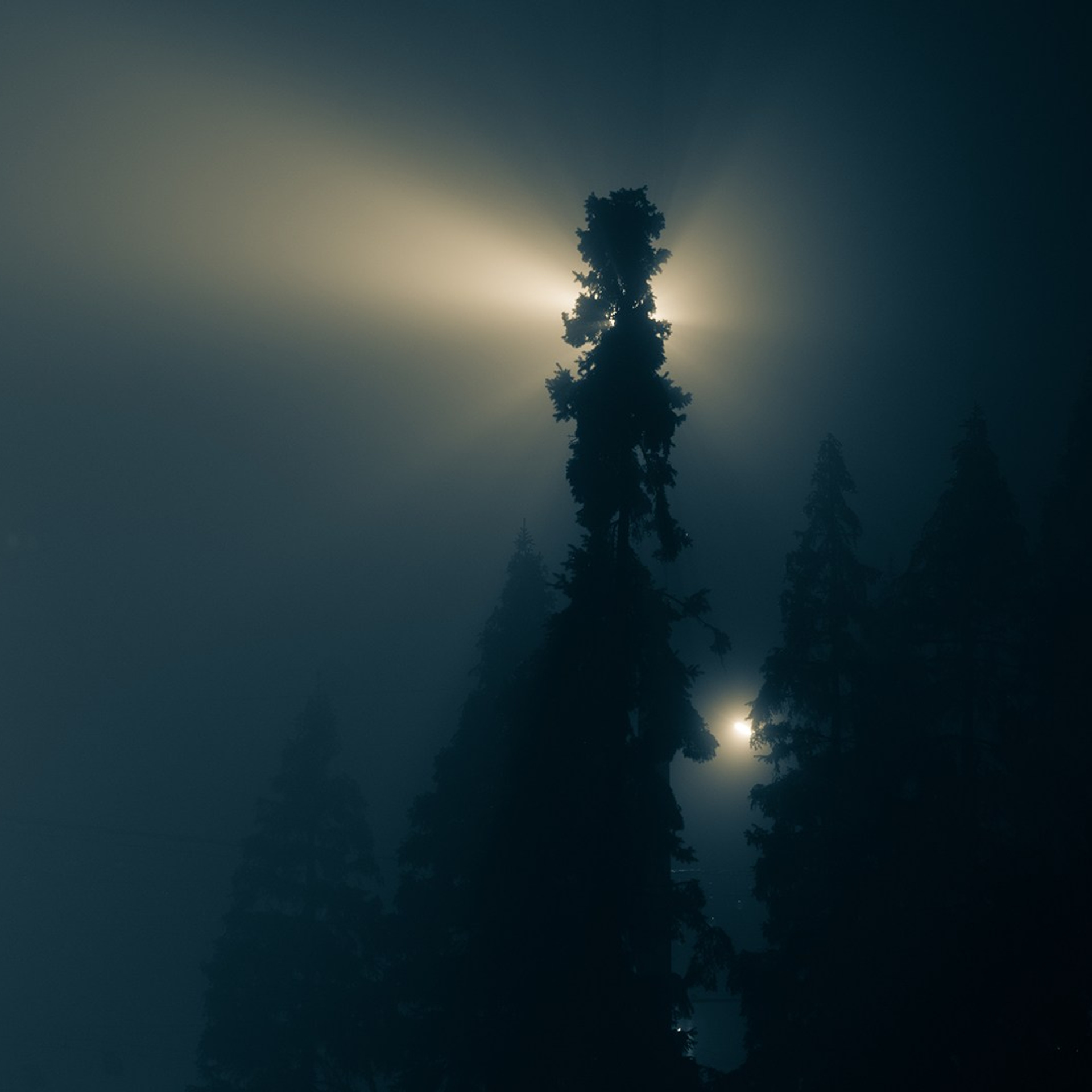 Ночная съемка. Видеооператор приключений × Сергей Скрынник