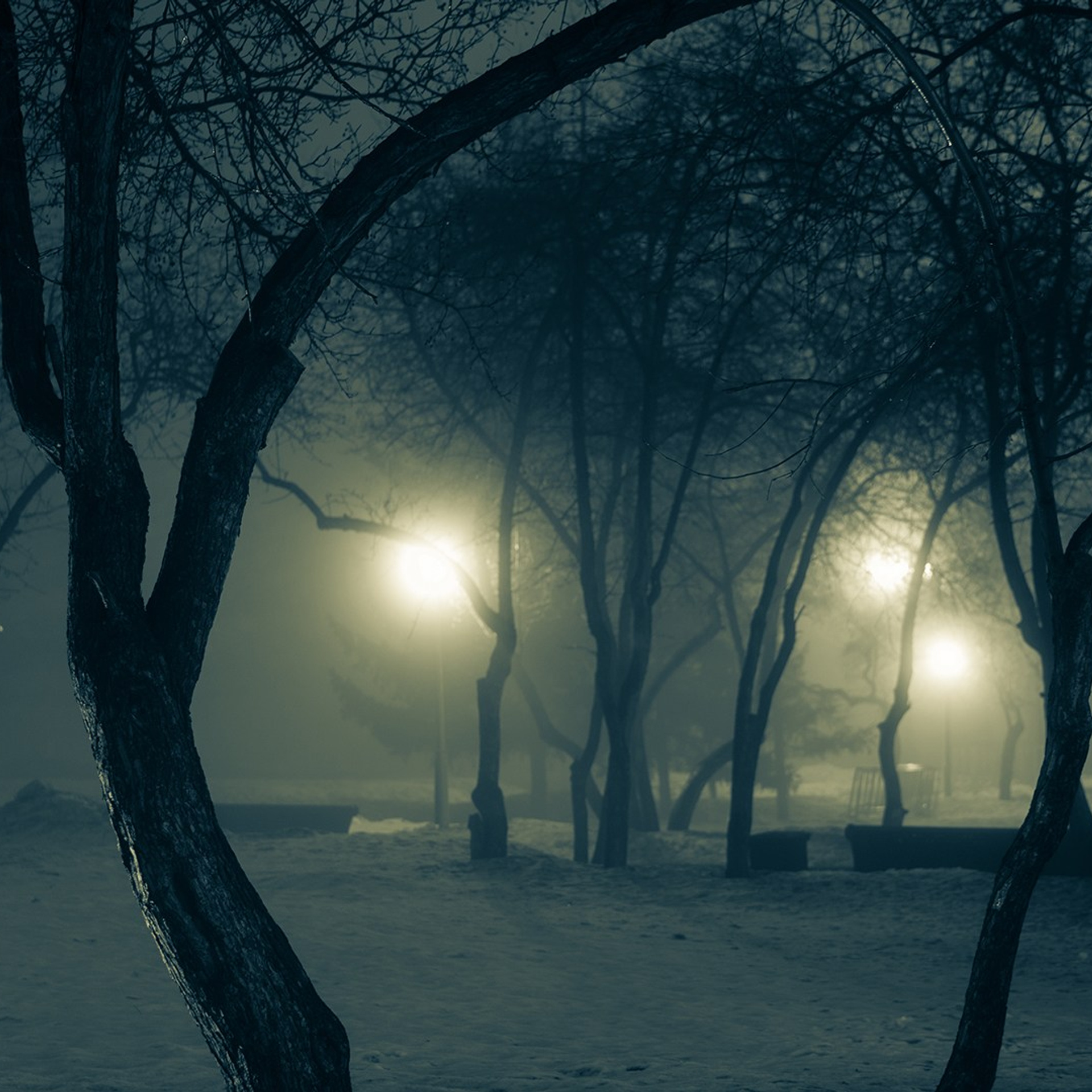 Ночная съемка. Видеооператор приключений × Сергей Скрынник