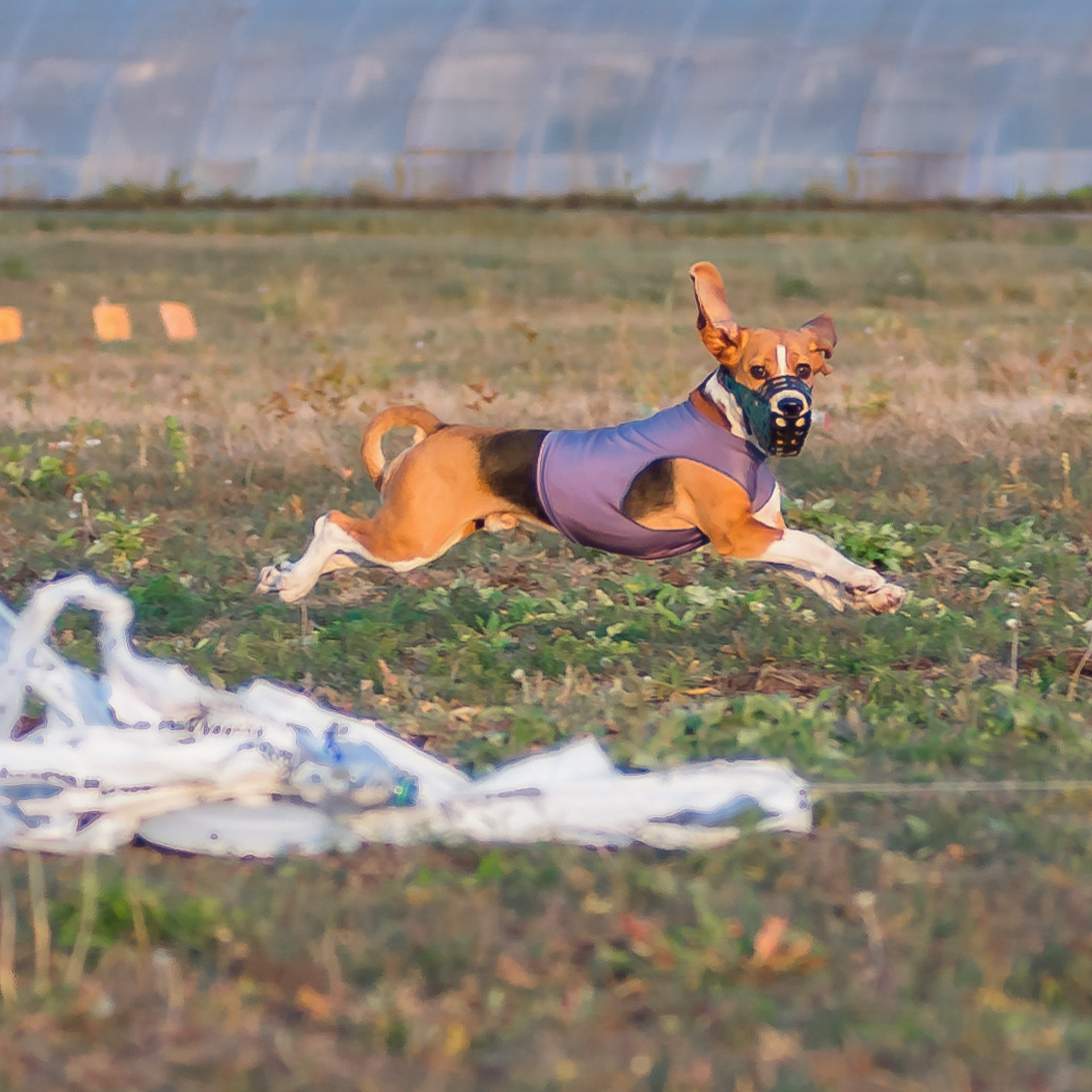 Отзывы. Детский и семейный фотограф в Пензе Камалова Анастасия