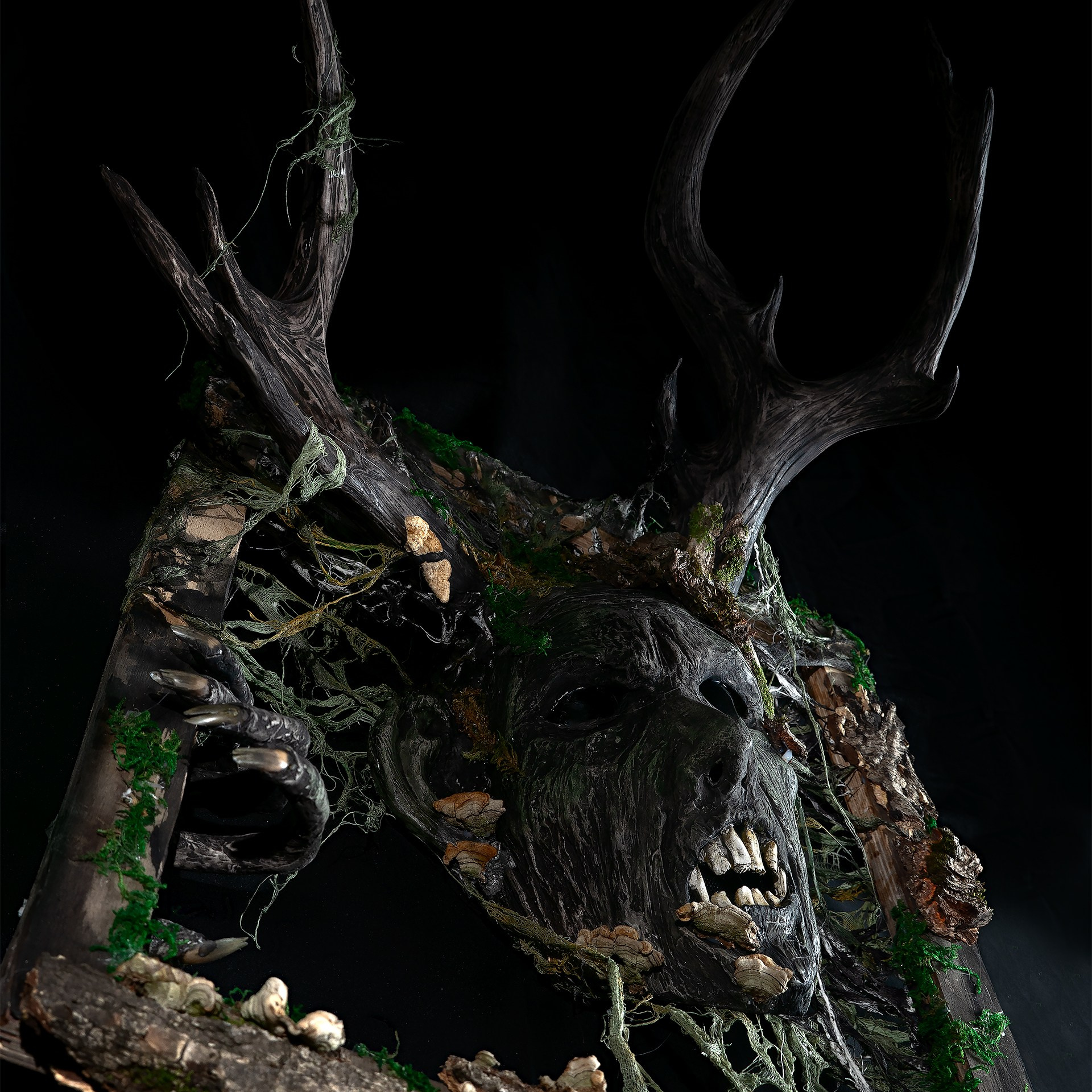 Картины. Медиа-контент с мероприятий