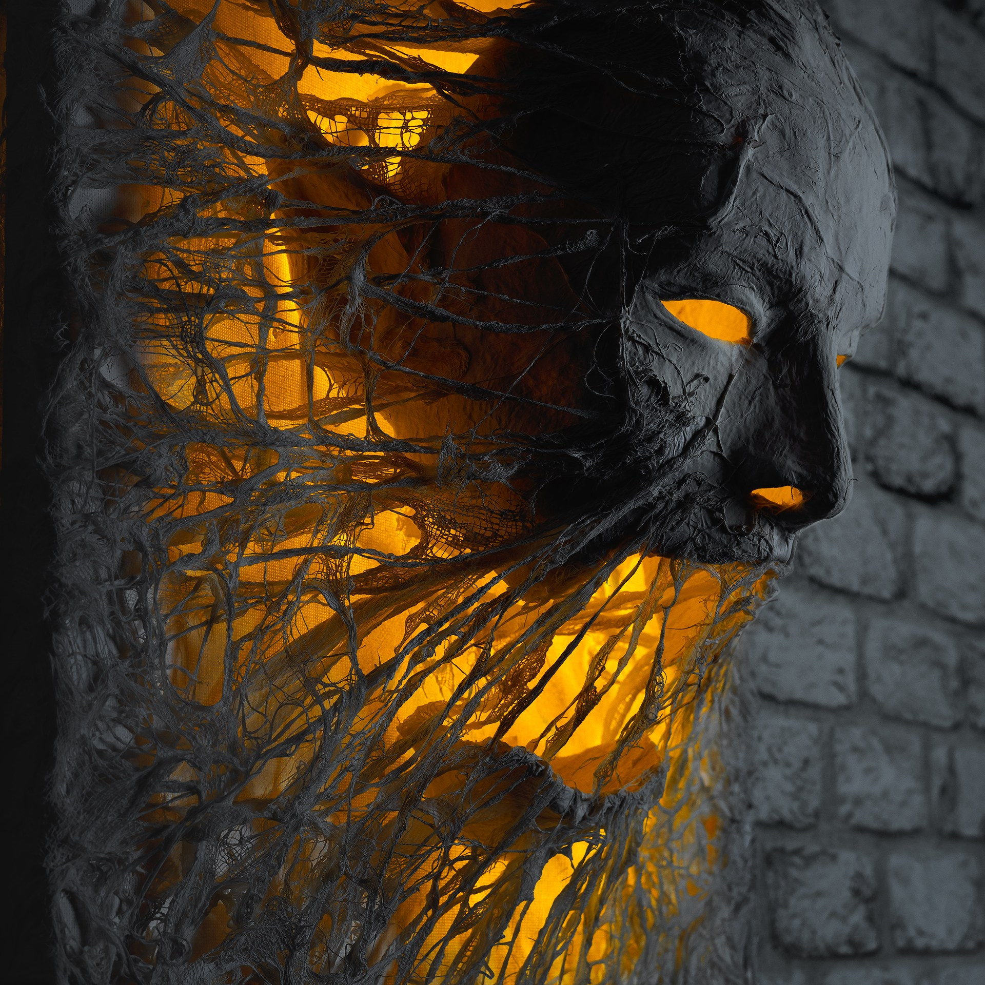 Картины. Медиа-контент с мероприятий