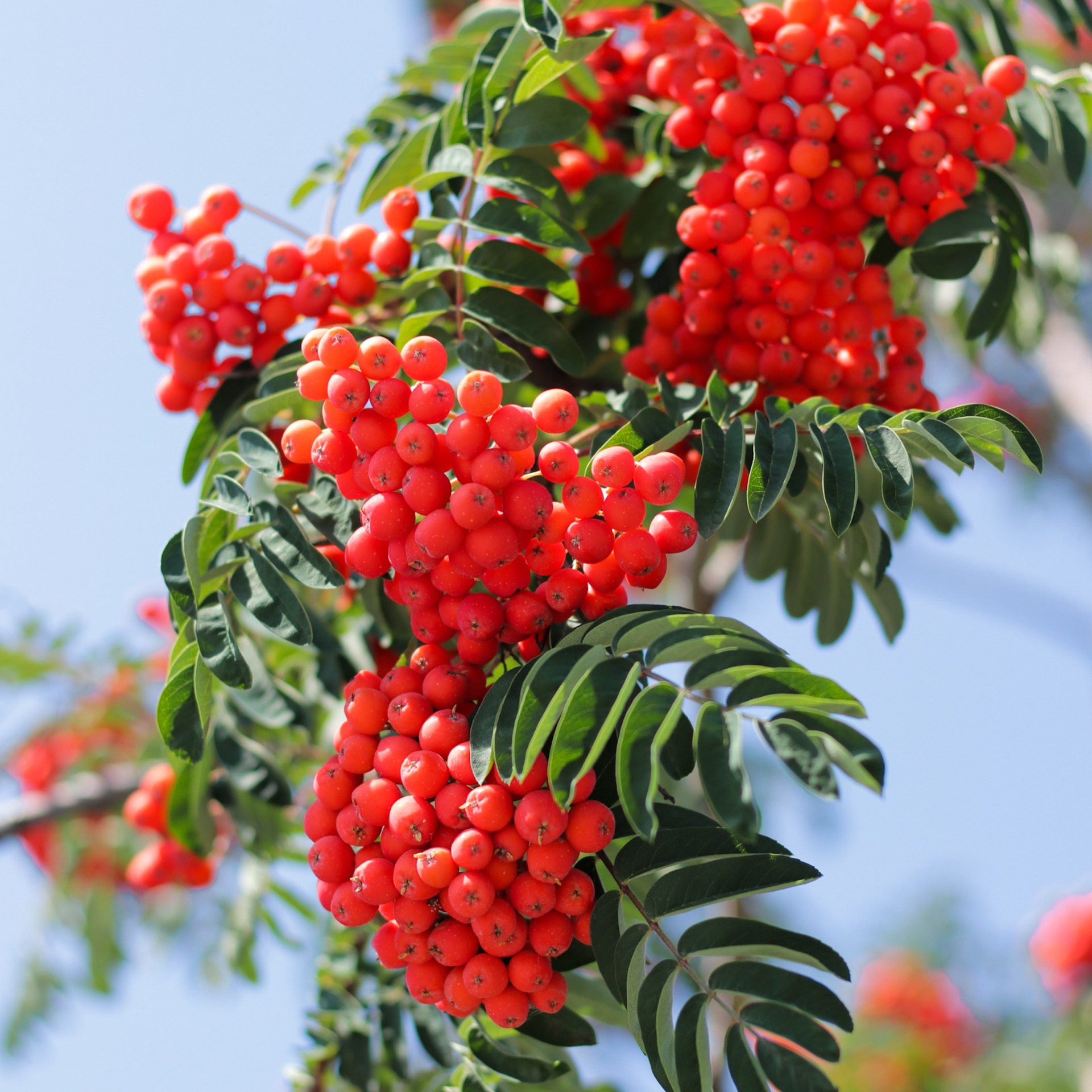 Теплое лето