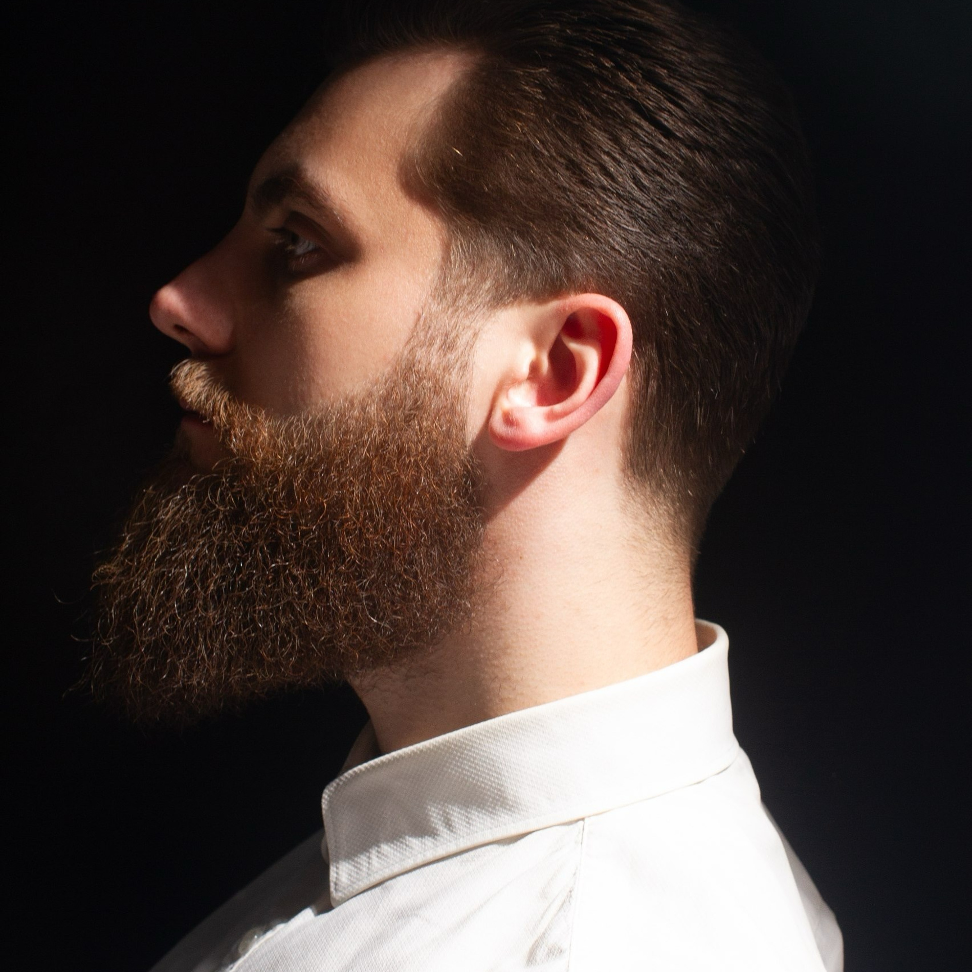 Galor публикация в журнале