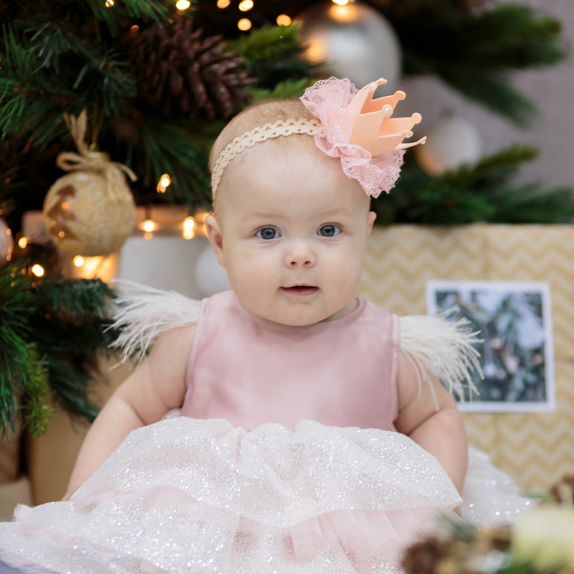 Отзывы. Свадебный, семейный фотограф в Воронеже. Иван и Наталья Выборновы