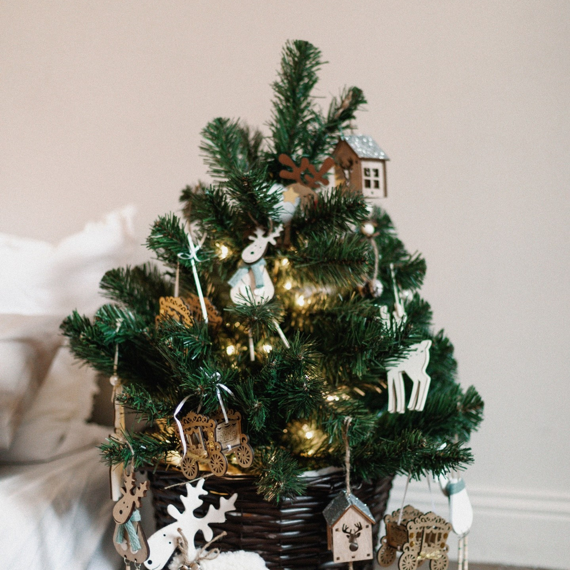 Soul зал Nude. Женский и семейный фотограф в Тюмени Пашнина Ольга