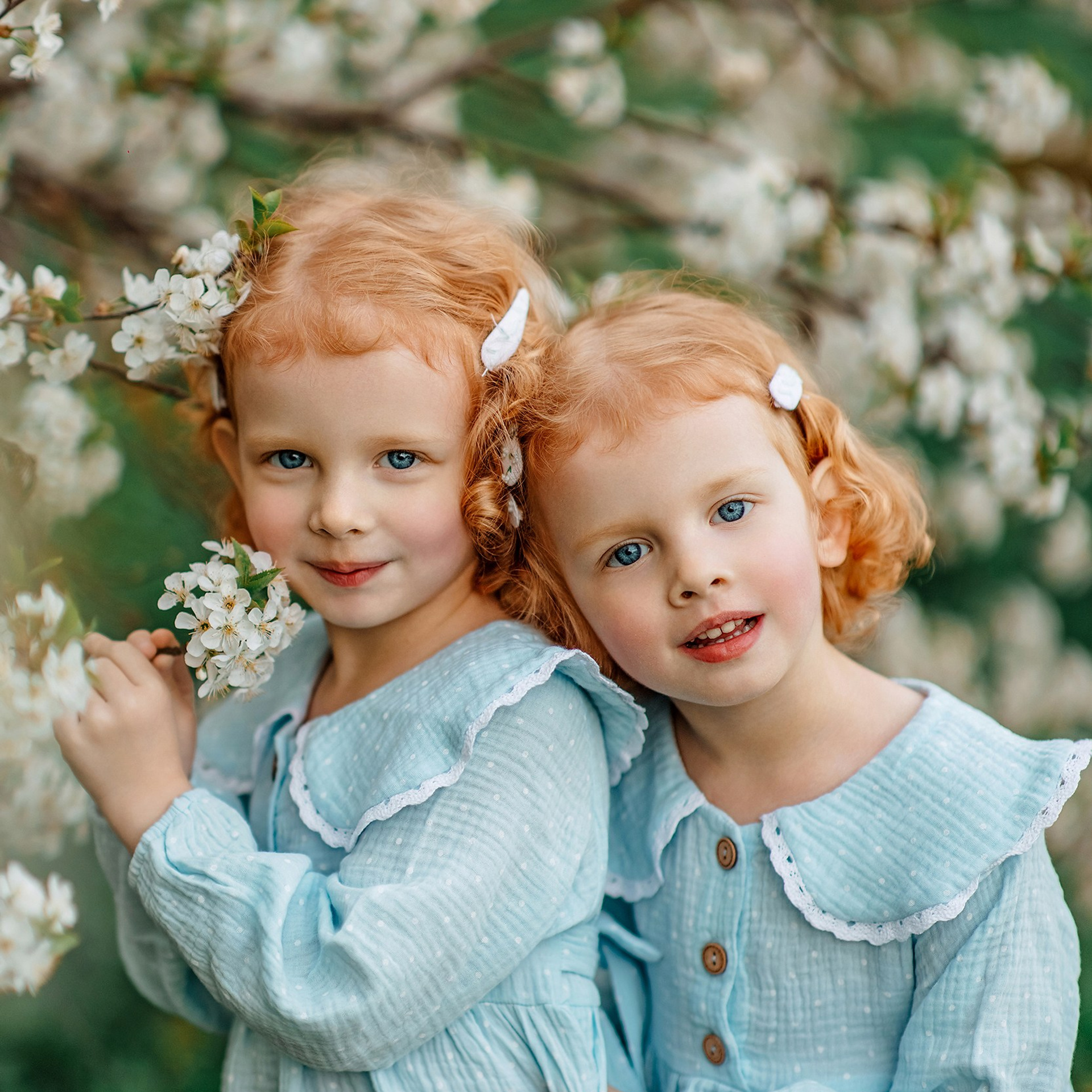 Рыжульки в цветении