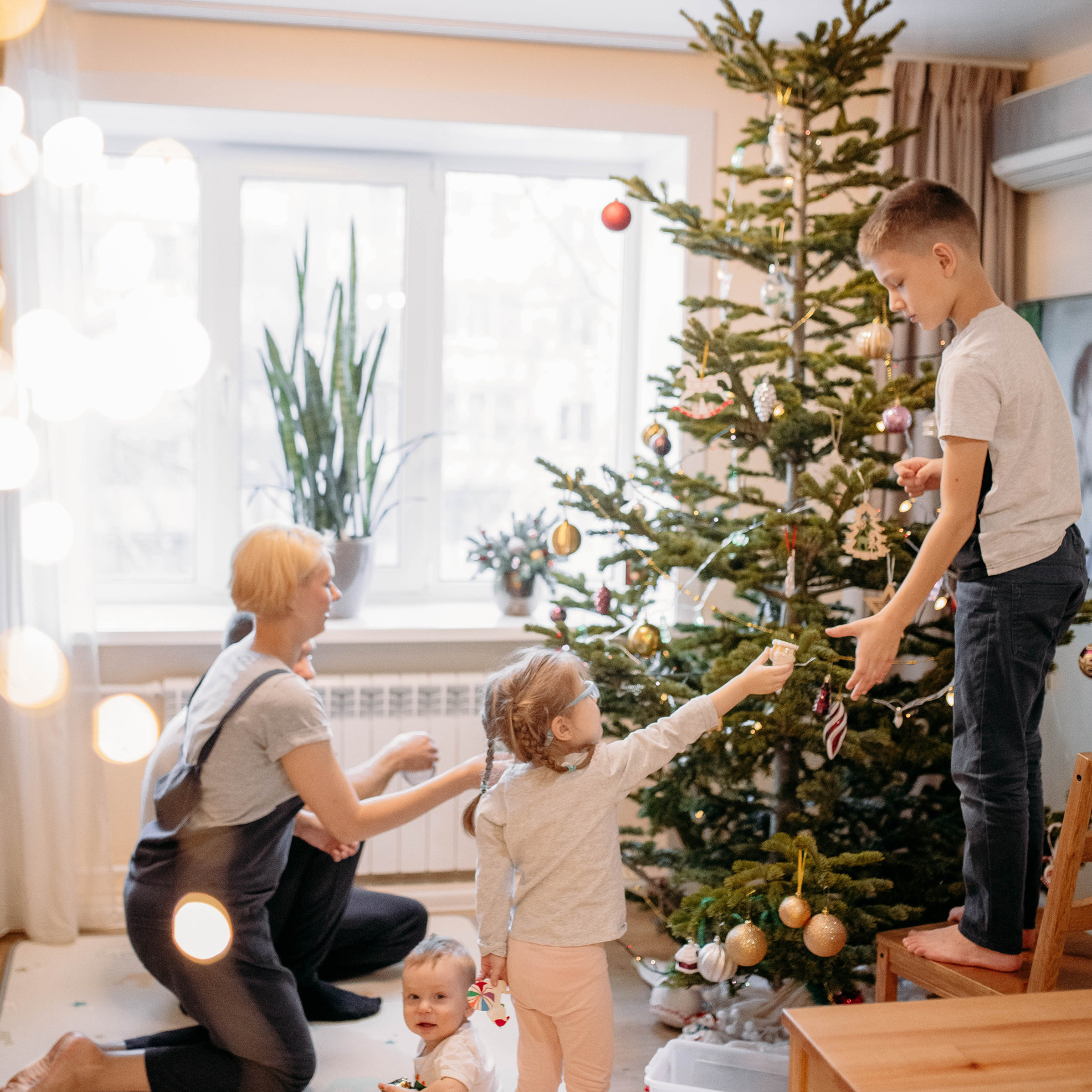 Новогодняя семейная история