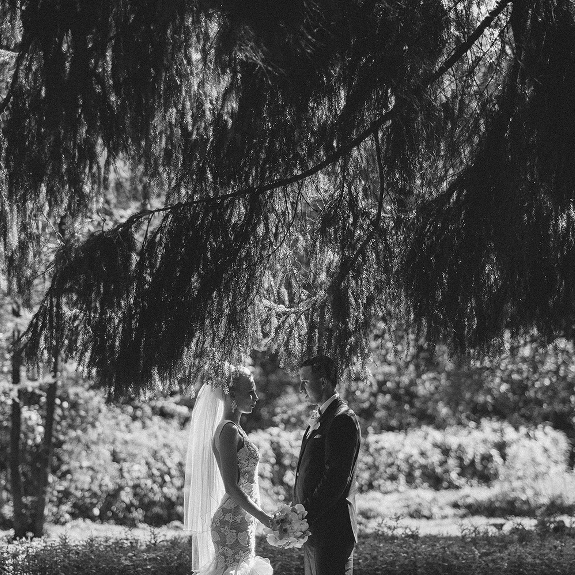 Фотограф Спб. Профессиональный фотограф Алексей Васенцев. Минск, СПБ, Москва