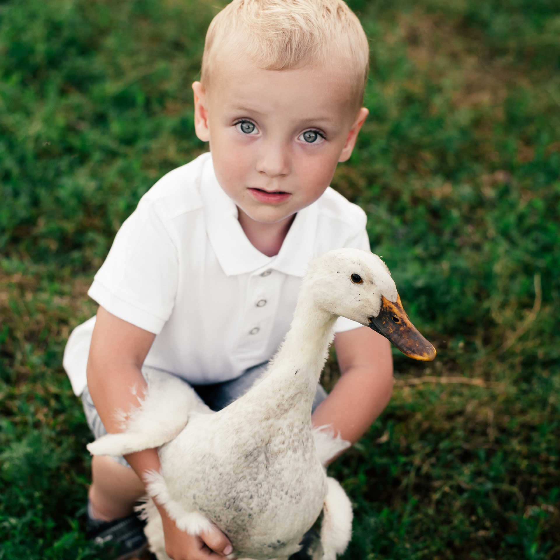 Отзывы. Свадебный и портретный фотограф в Москве Валерия Даньшина