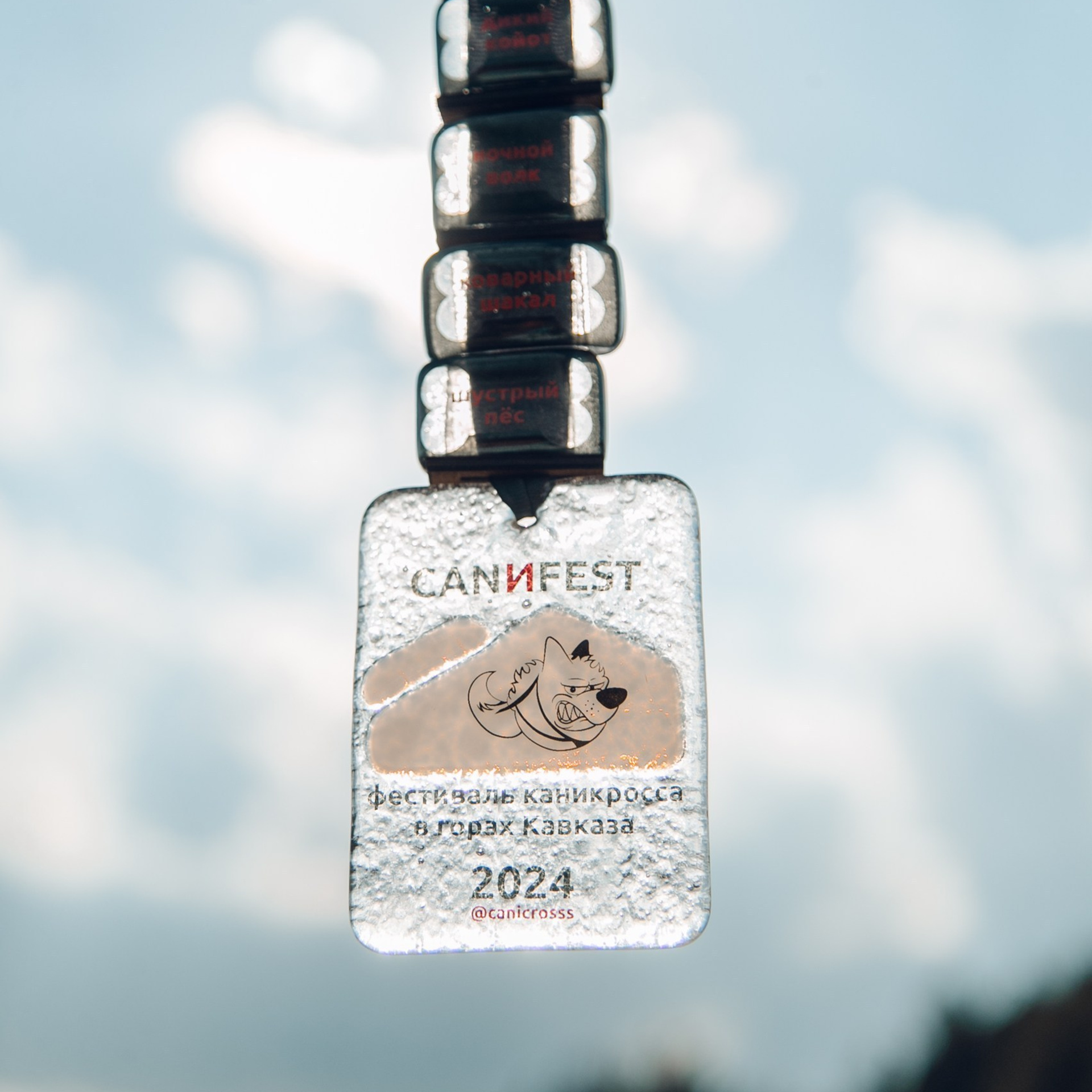 Отзывы. Фотограф Светлана Дмитриева