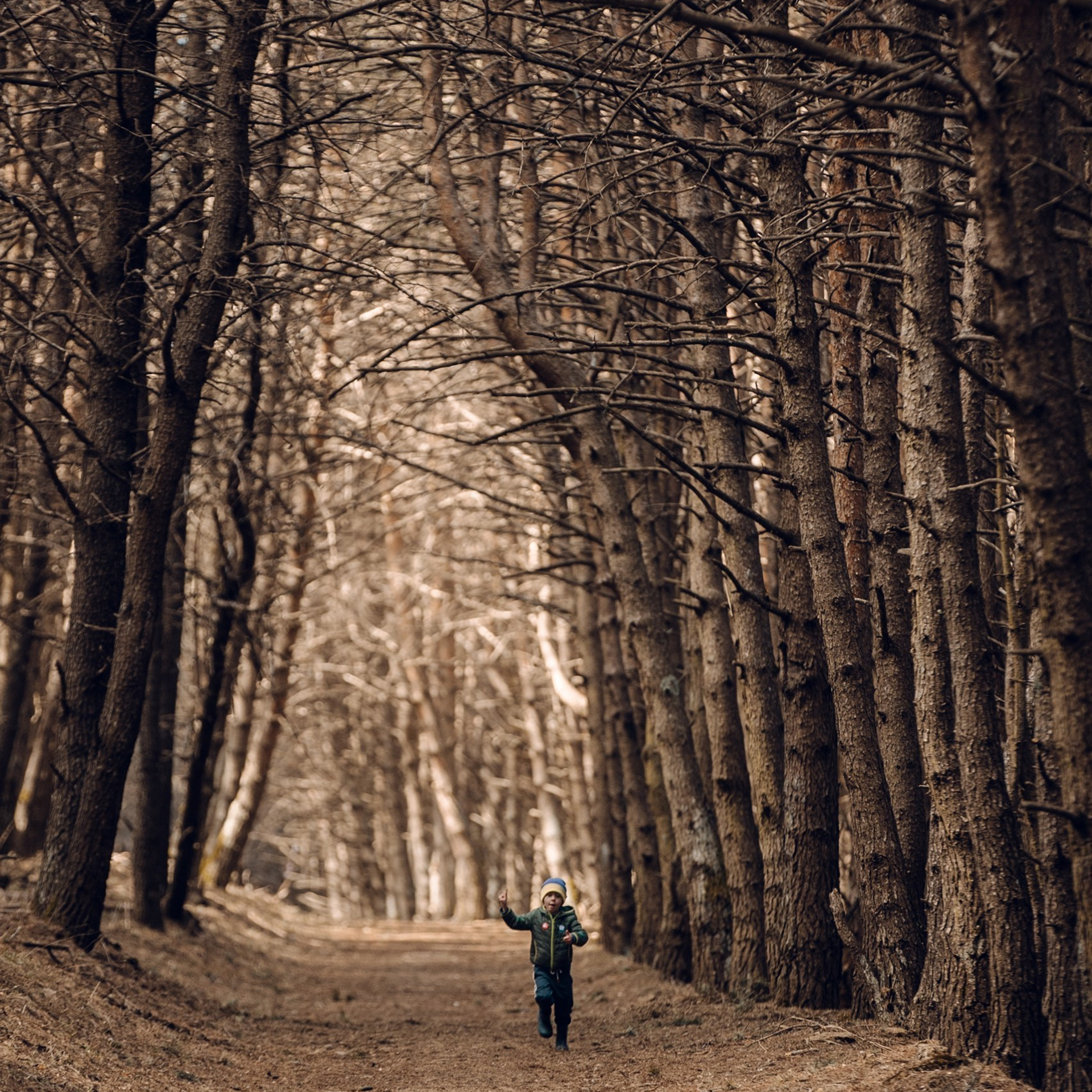 Отзывы. Фотограф Светлана Дмитриева