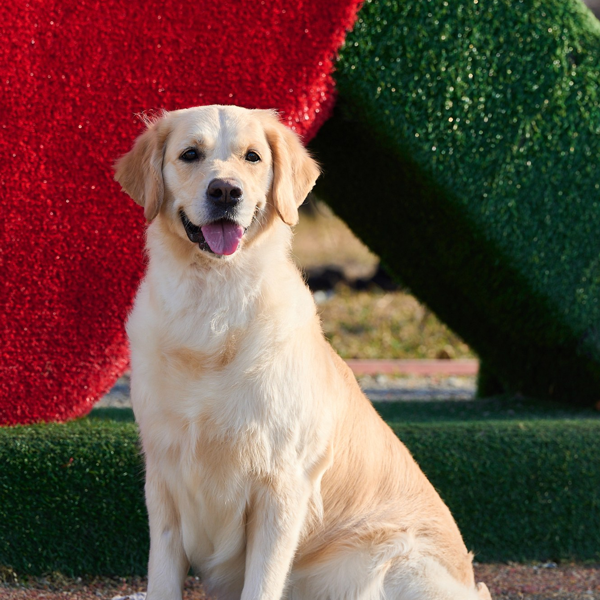Отзывы. Фотограф в Екатеринбурге