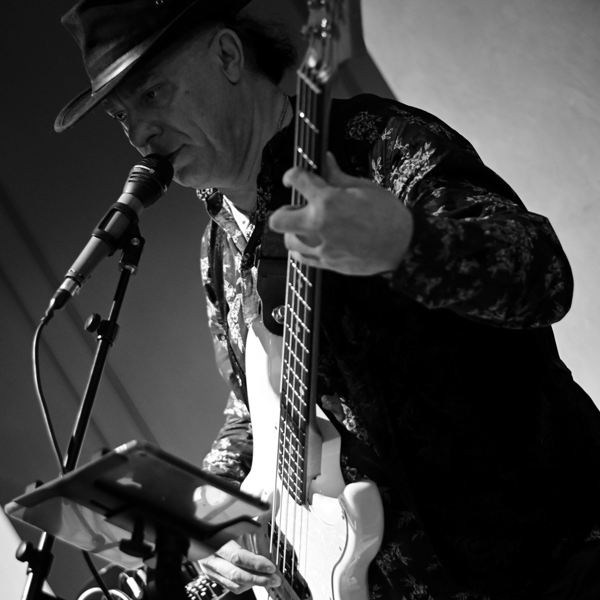 Музыкальные концерты