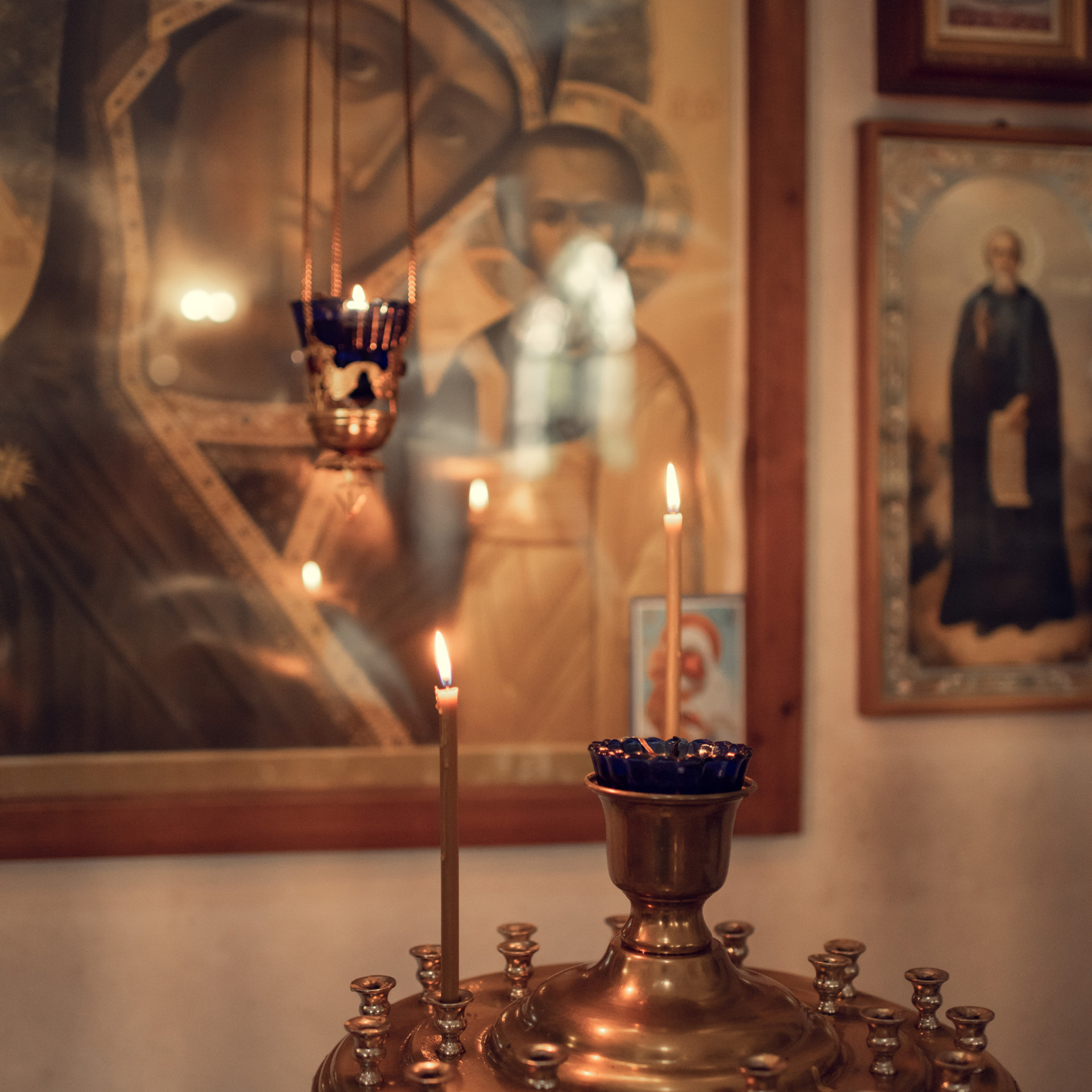 Отзывы. Фотограф Алиса Чечина. Калуга. Товарково