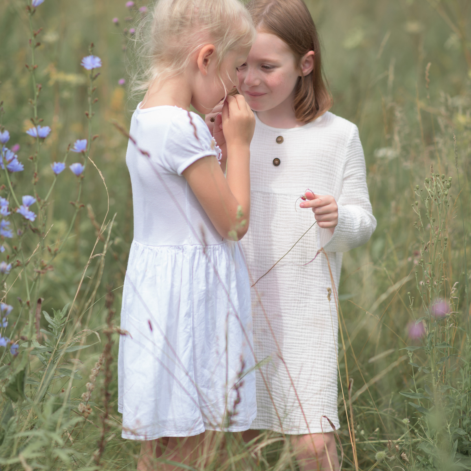 Отзывы. Фотограф Алиса Чечина. Калуга. Товарково